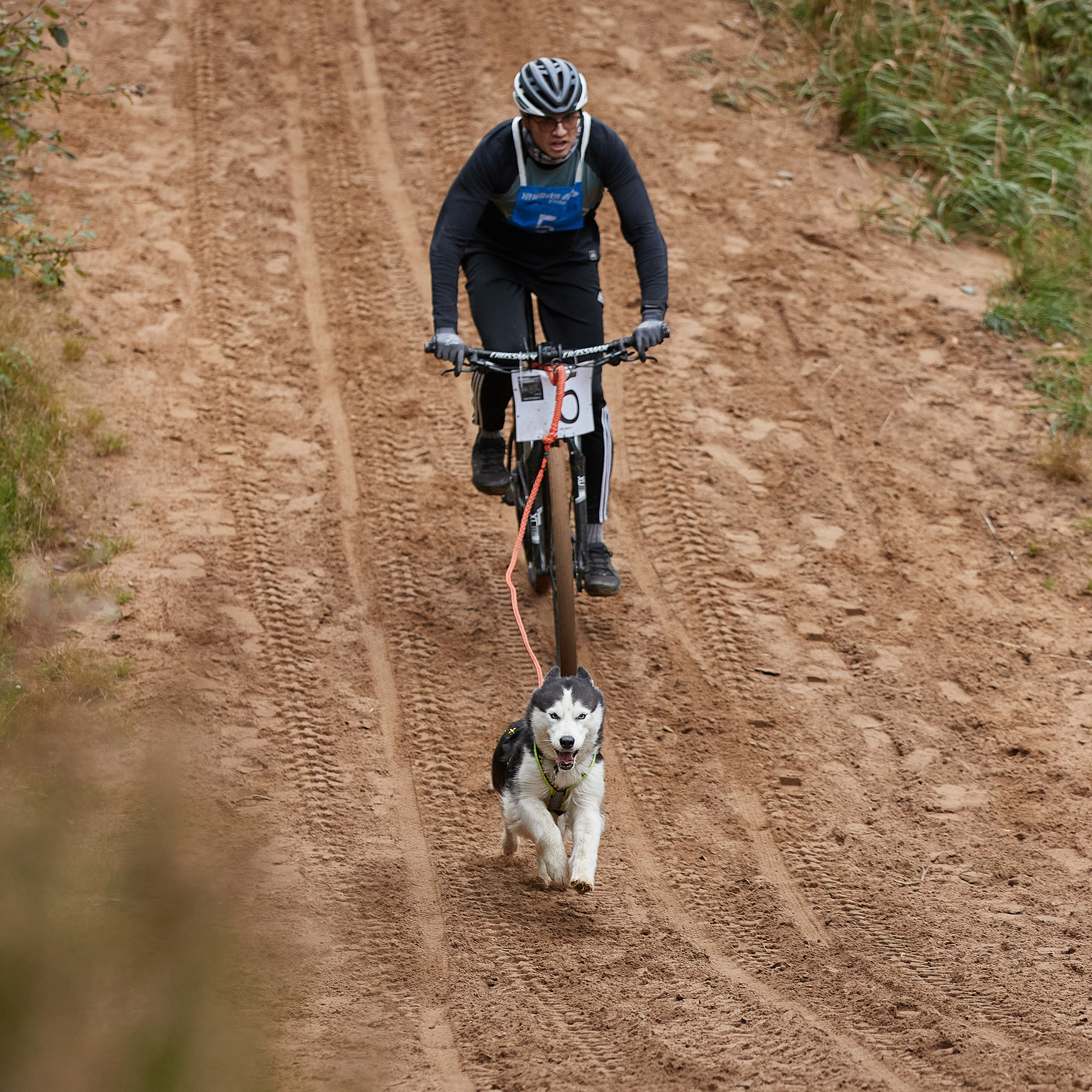 ЧЕМПИОНАТ РОССИИ РКФ 25–26 сентября 2021 г. ФОТОГРАФ-АНИМАЛИСТ l LANA POLYAKOVA