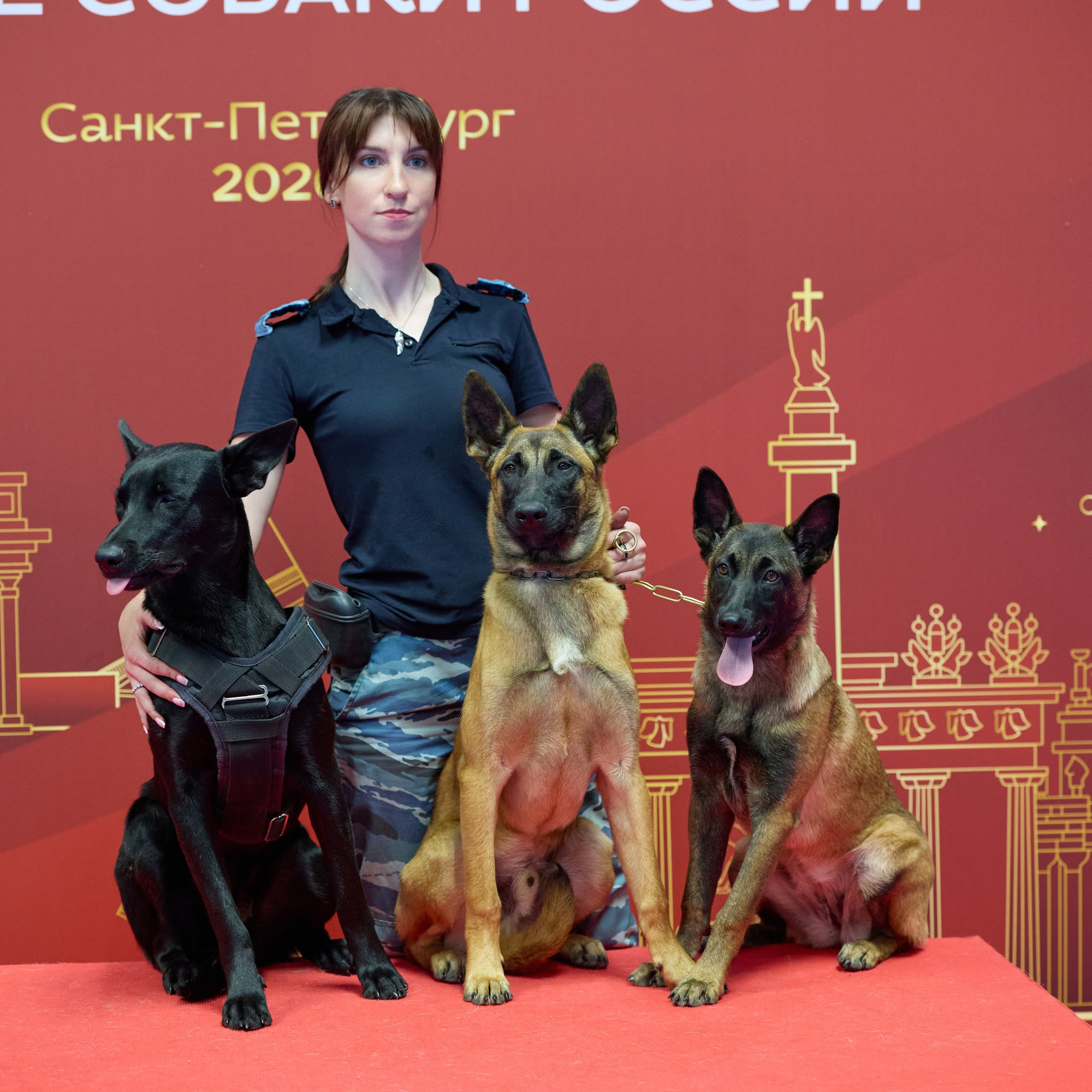 Выставка Лучшие собаки России / РКФ Санкт-Петербург. ФОТОГРАФ-АНИМАЛИСТ l LANA POLYAKOVA