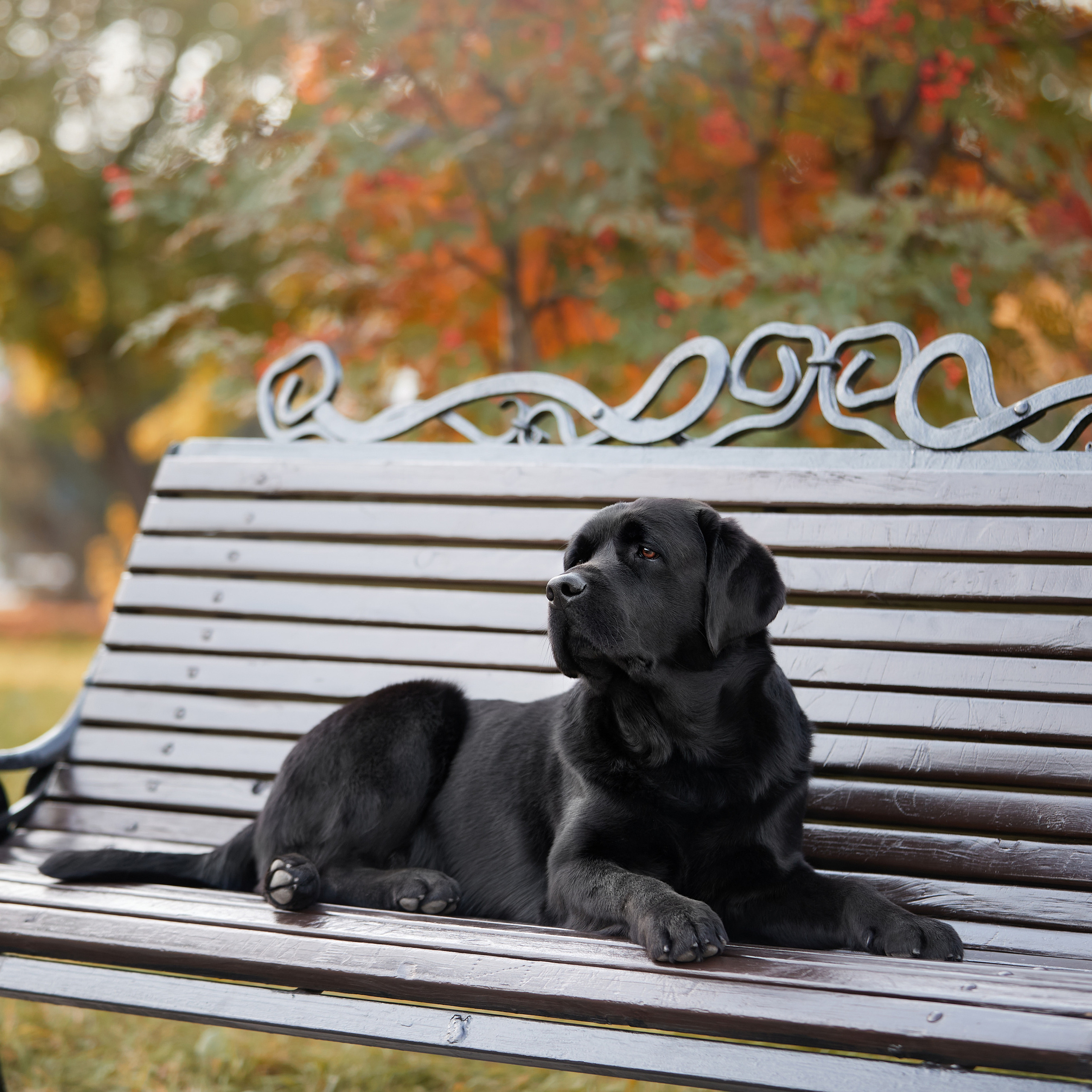 Путешествие к Байкалу. Фотосессии в Иркутске. ФОТОГРАФ-АНИМАЛИСТ l LANA POLYAKOVA
