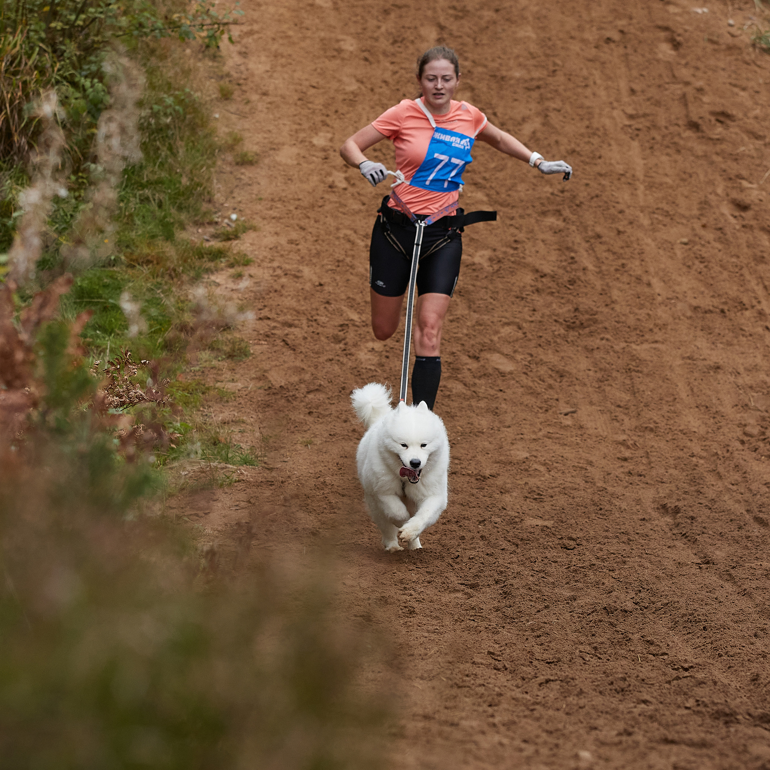 ЧЕМПИОНАТ РОССИИ РКФ 25–26 сентября 2021 г. ФОТОГРАФ-АНИМАЛИСТ l LANA POLYAKOVA