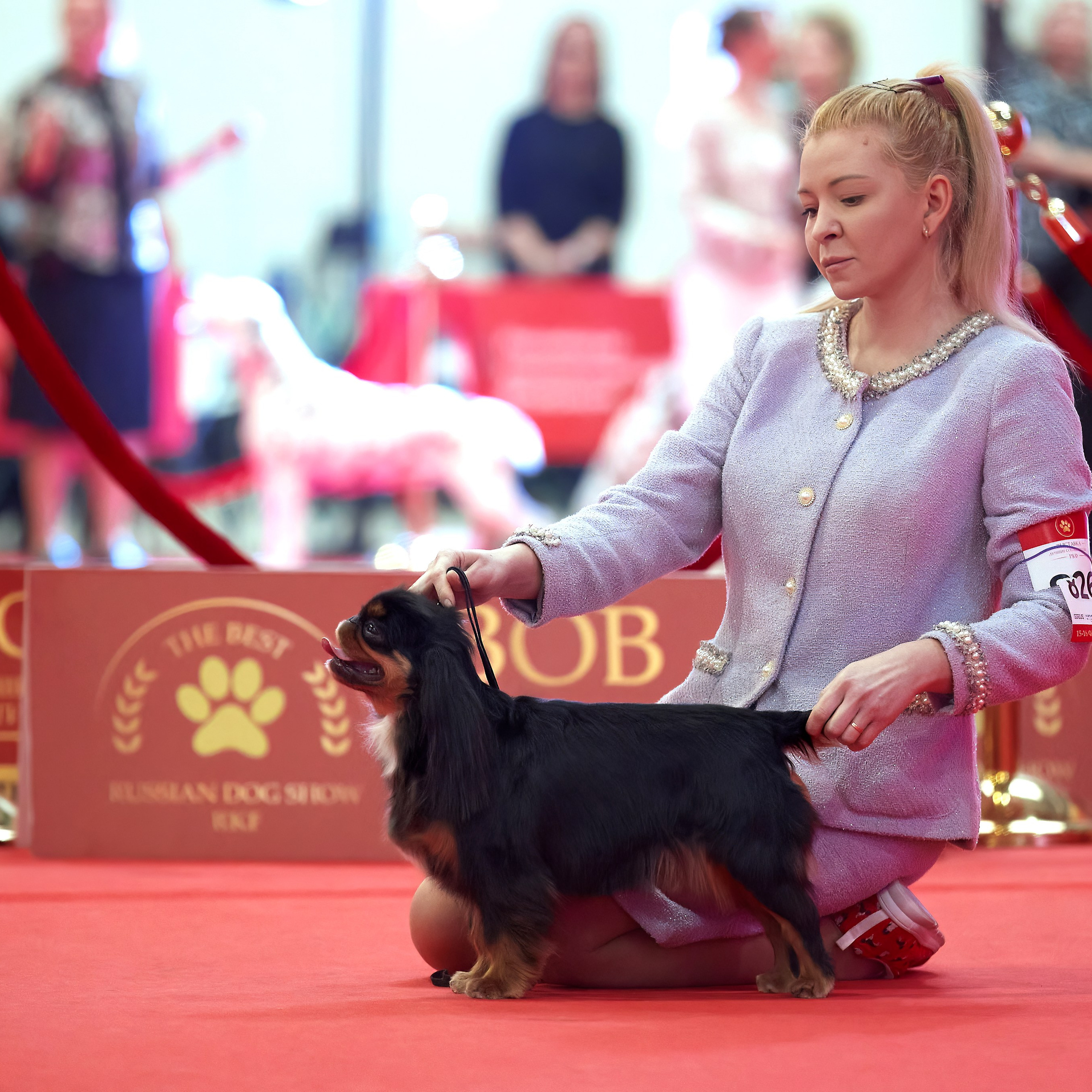 Шоу чемпионов «ЛУЧШИЕ СОБАКИ РОССИИ». ФОТОГРАФ-АНИМАЛИСТ l LANA POLYAKOVA