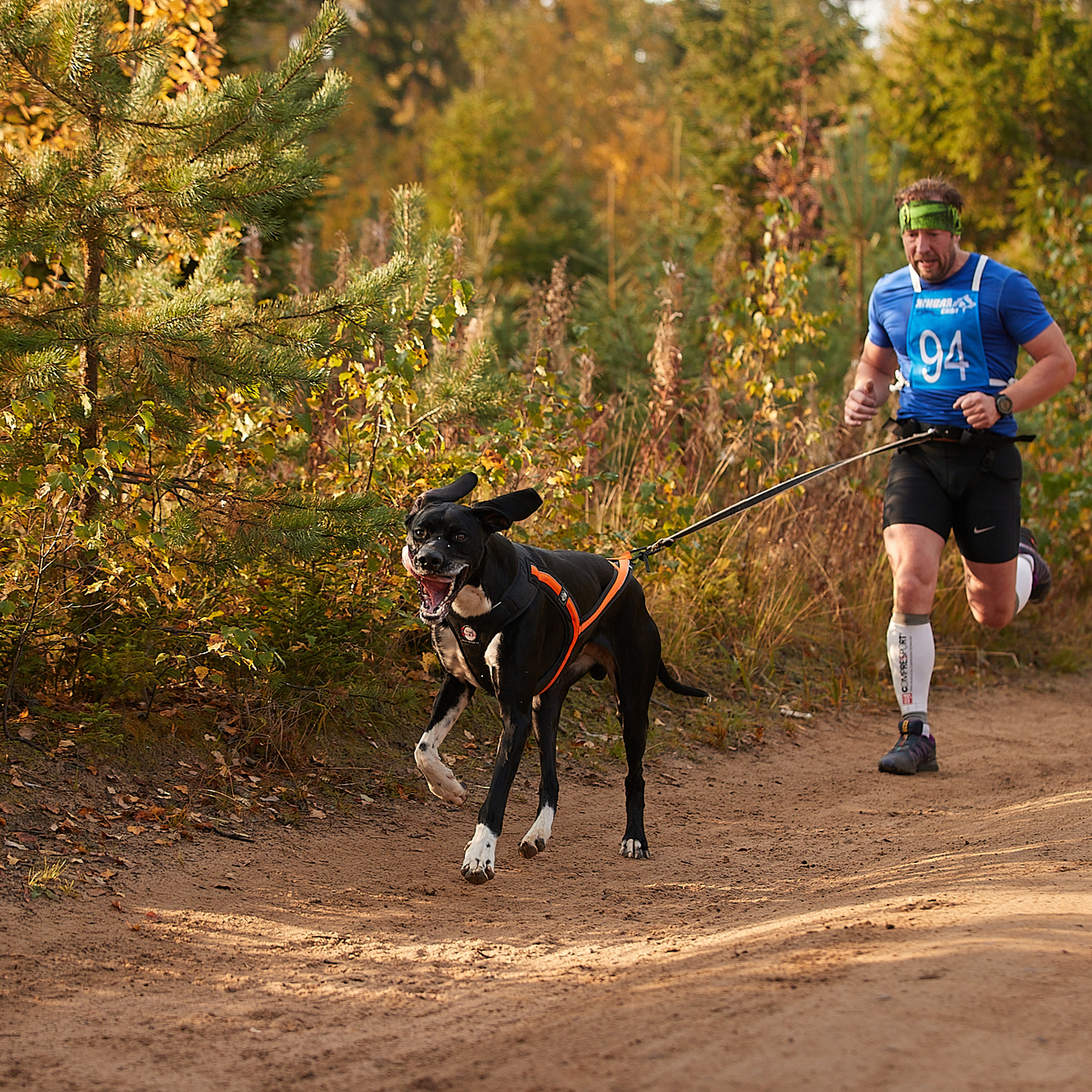 ЧЕМПИОНАТ РОССИИ РКФ 27 сентября 2020 г., 2й день. ФОТОГРАФ-АНИМАЛИСТ l LANA POLYAKOVA