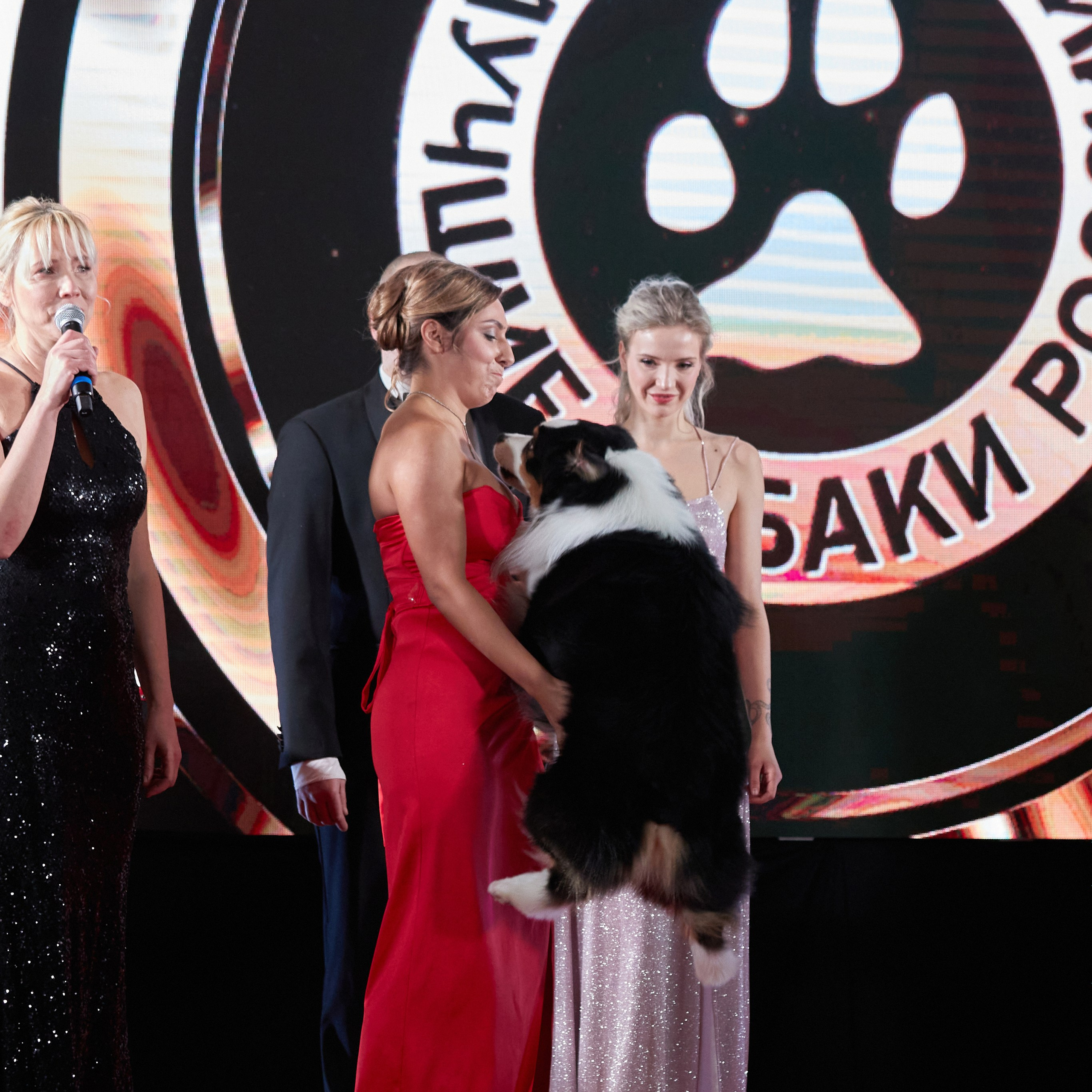 Репортаж с церемонии «BEST RUSSIAN DOG 2023». ФОТОГРАФ-АНИМАЛИСТ l LANA POLYAKOVA