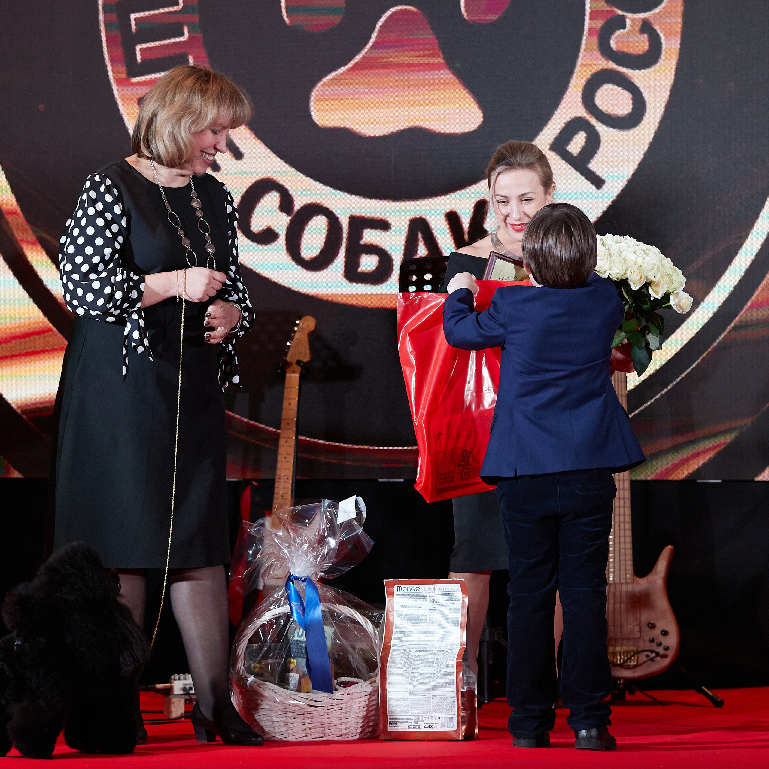 Репортаж с церемонии «BEST RUSSIAN DOG 2022». ФОТОГРАФ-АНИМАЛИСТ l LANA POLYAKOVA