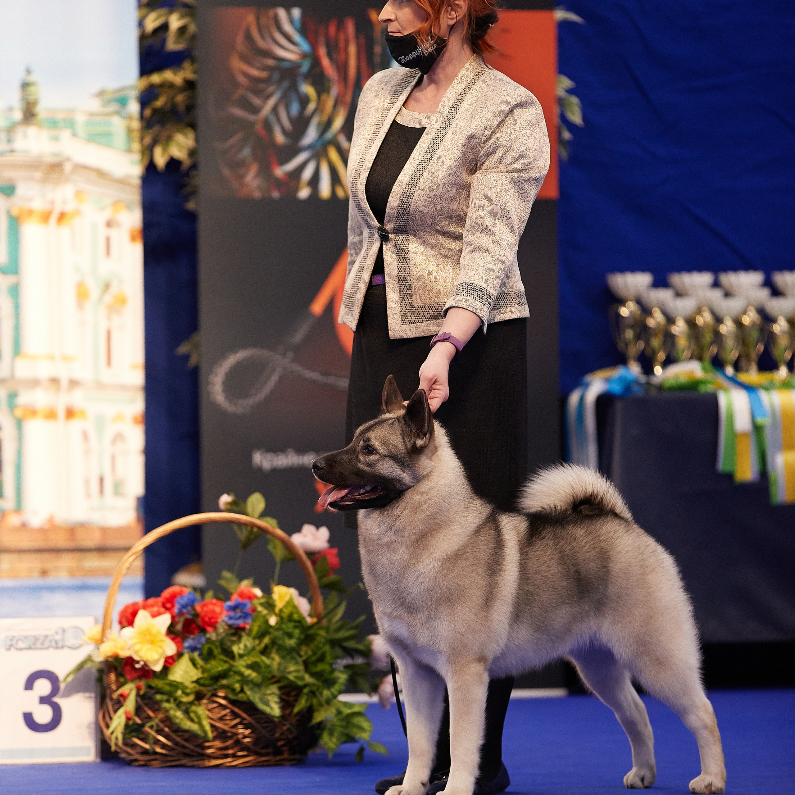 24-25.04.21 CACIB в Санкт-Петербурге. ФОТОГРАФ-АНИМАЛИСТ l LANA POLYAKOVA
