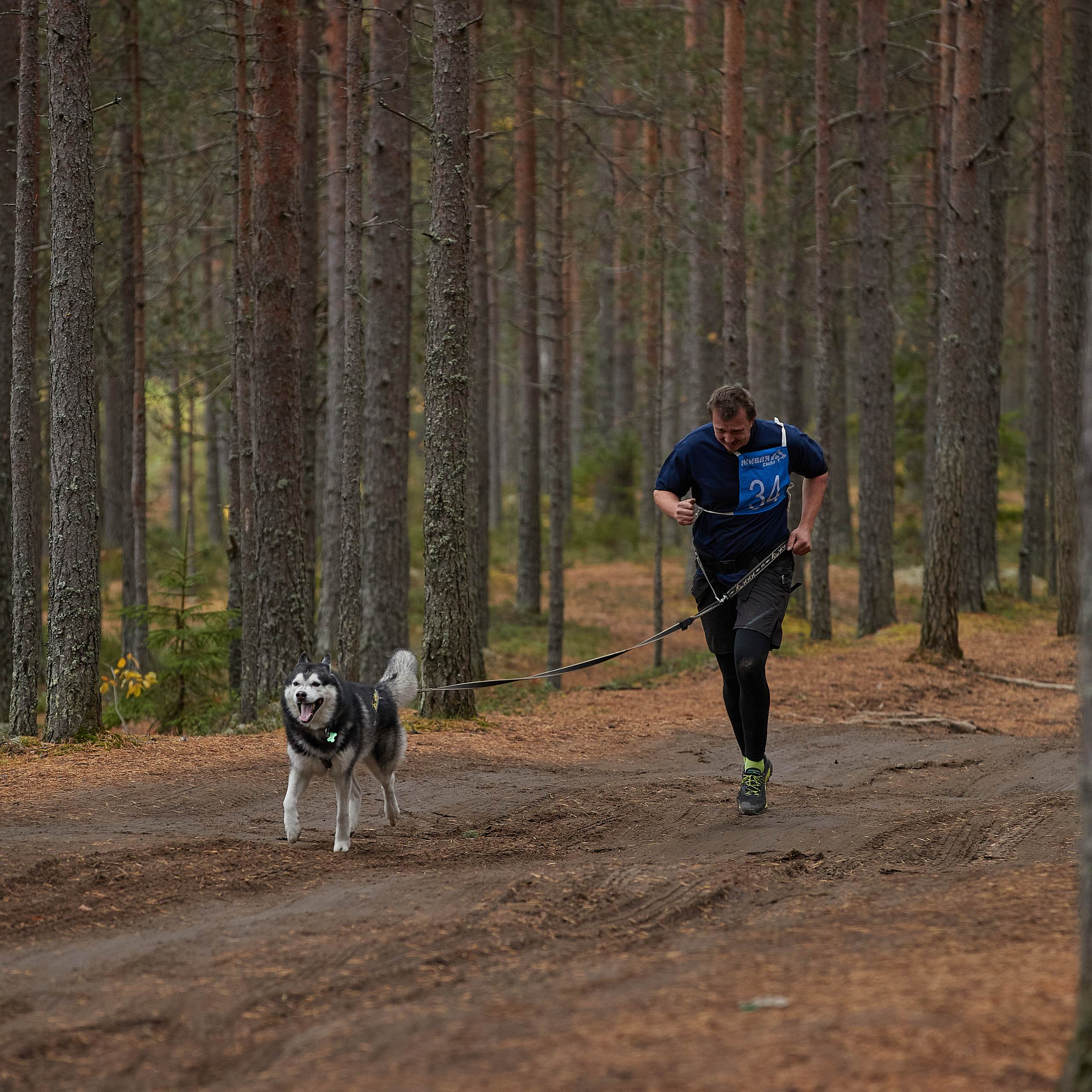 ЧЕМПИОНАТ РОССИИ РКФ 25–26 сентября 2021 г. ФОТОГРАФ-АНИМАЛИСТ l LANA POLYAKOVA