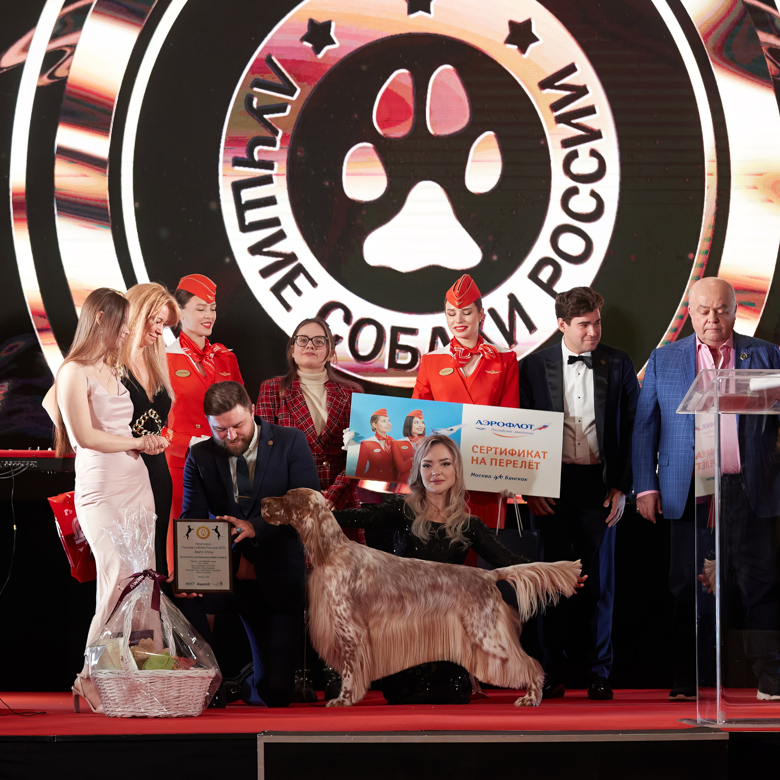 Репортаж с церемонии «BEST RUSSIAN DOG 2023». ФОТОГРАФ-АНИМАЛИСТ l LANA POLYAKOVA