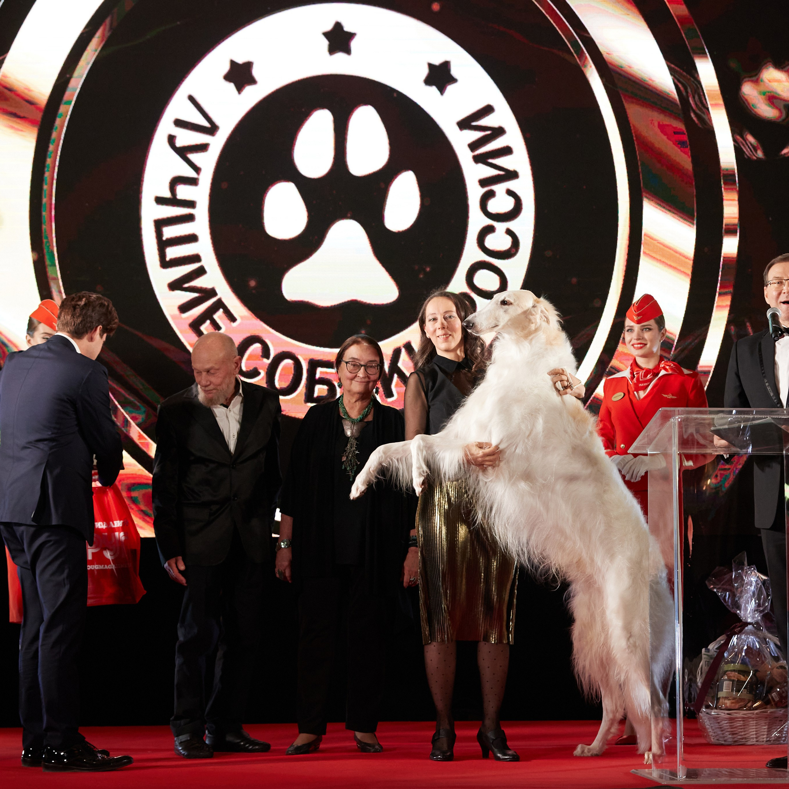 Репортаж с церемонии «BEST RUSSIAN DOG 2023». ФОТОГРАФ-АНИМАЛИСТ l LANA POLYAKOVA