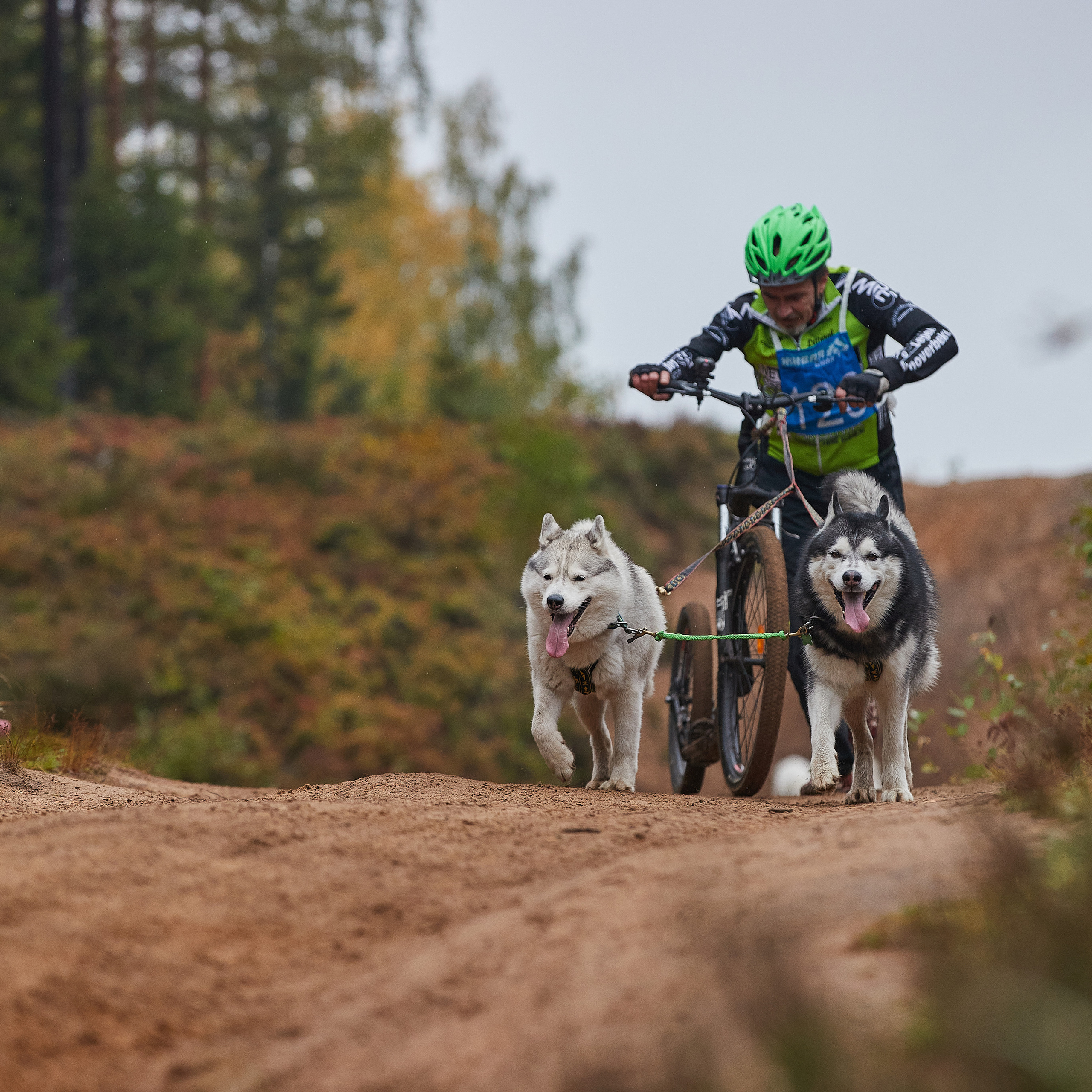 ЧЕМПИОНАТ РОССИИ РКФ 25–26 сентября 2021 г. ФОТОГРАФ-АНИМАЛИСТ l LANA POLYAKOVA