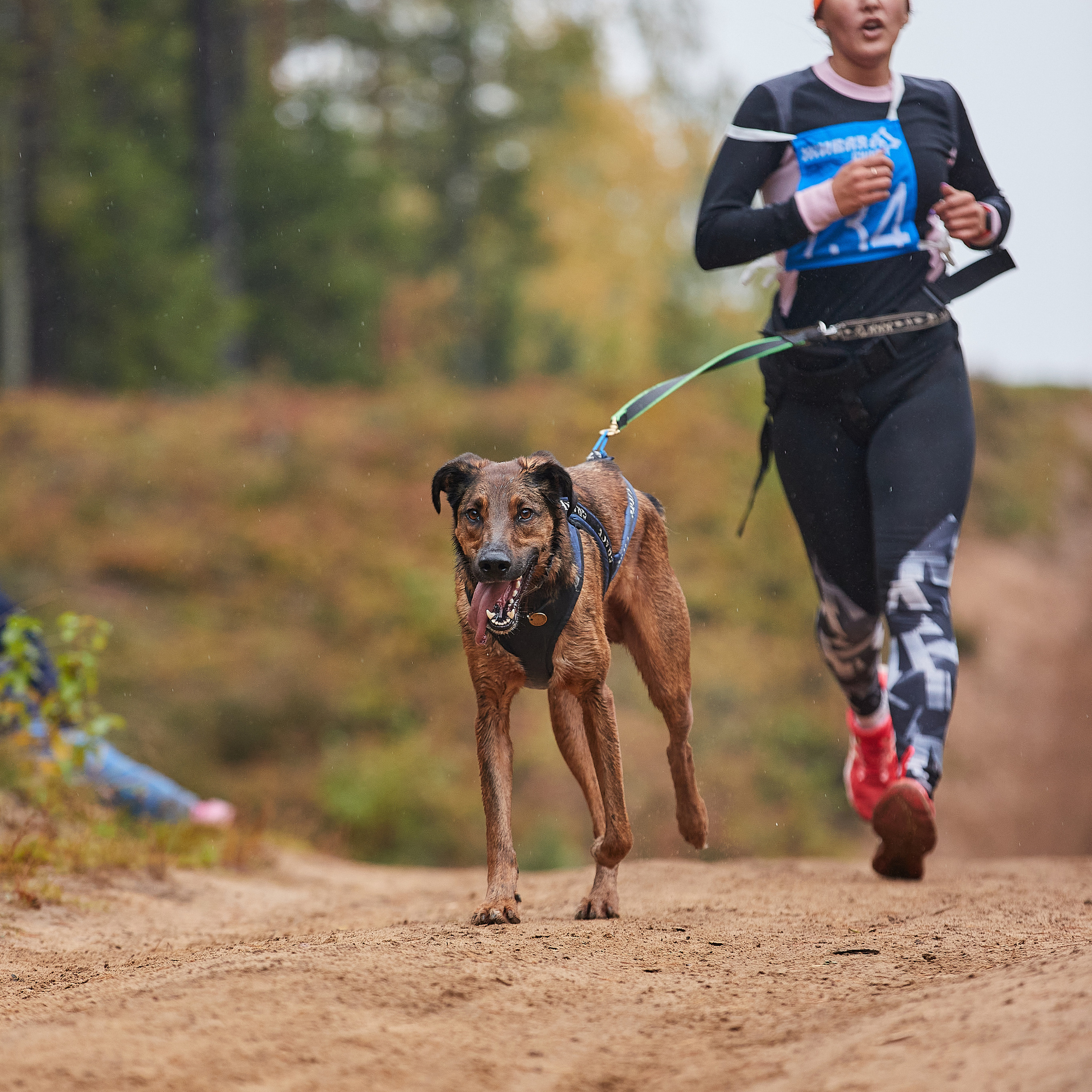 ЧЕМПИОНАТ РОССИИ РКФ 25–26 сентября 2021 г. ФОТОГРАФ-АНИМАЛИСТ l LANA POLYAKOVA