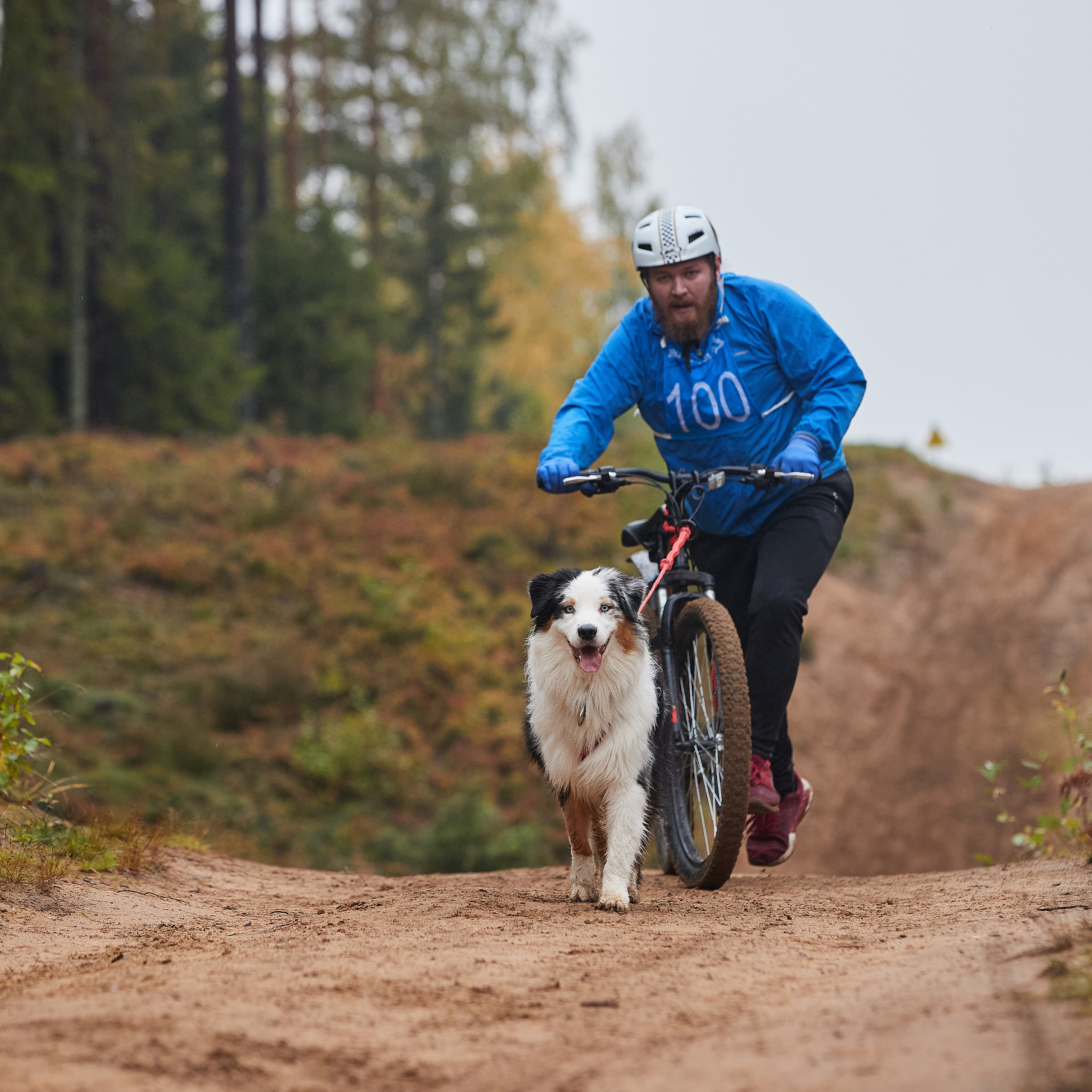 ЧЕМПИОНАТ РОССИИ РКФ 25–26 сентября 2021 г. ФОТОГРАФ-АНИМАЛИСТ l LANA POLYAKOVA