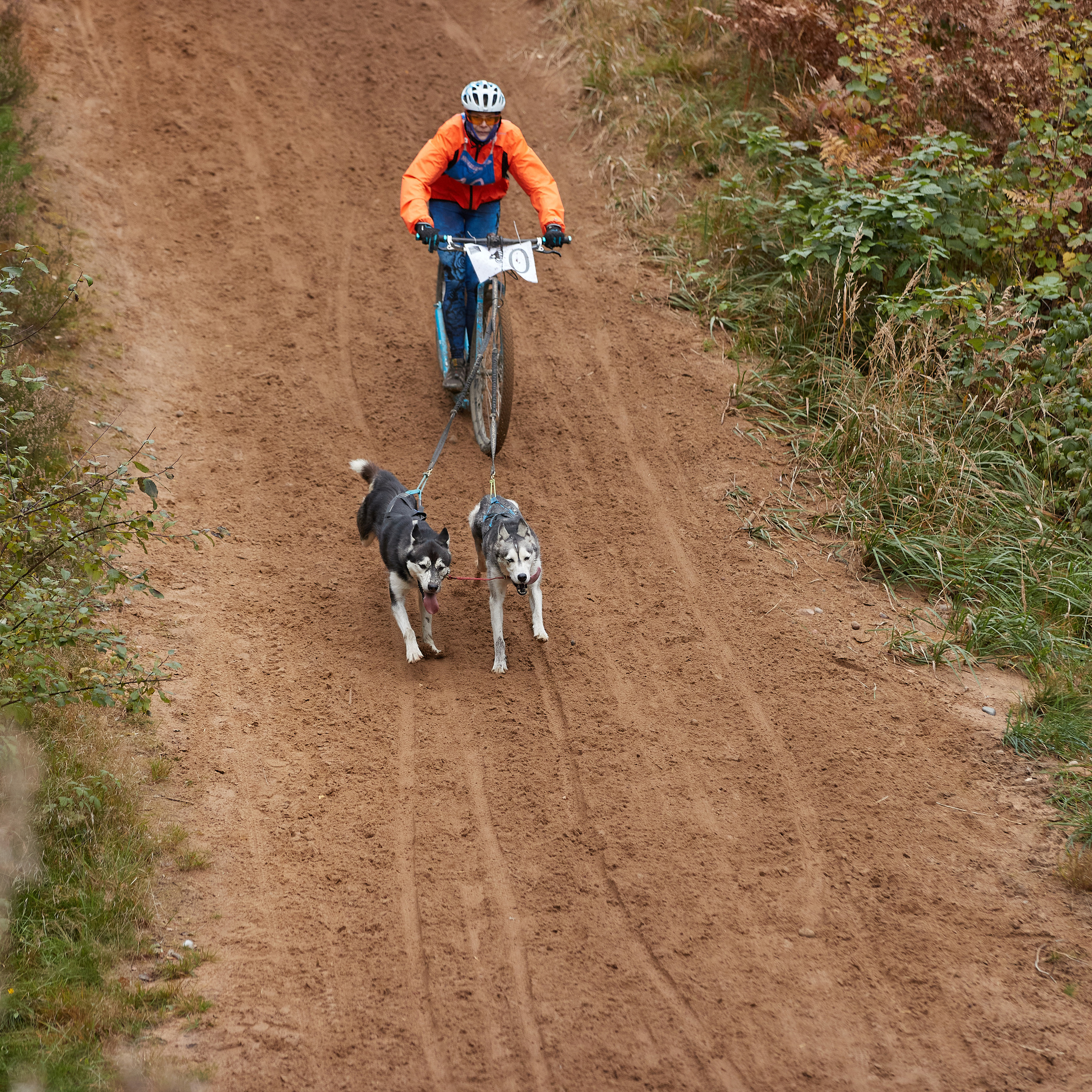 ЧЕМПИОНАТ РОССИИ РКФ 25–26 сентября 2021 г. ФОТОГРАФ-АНИМАЛИСТ l LANA POLYAKOVA