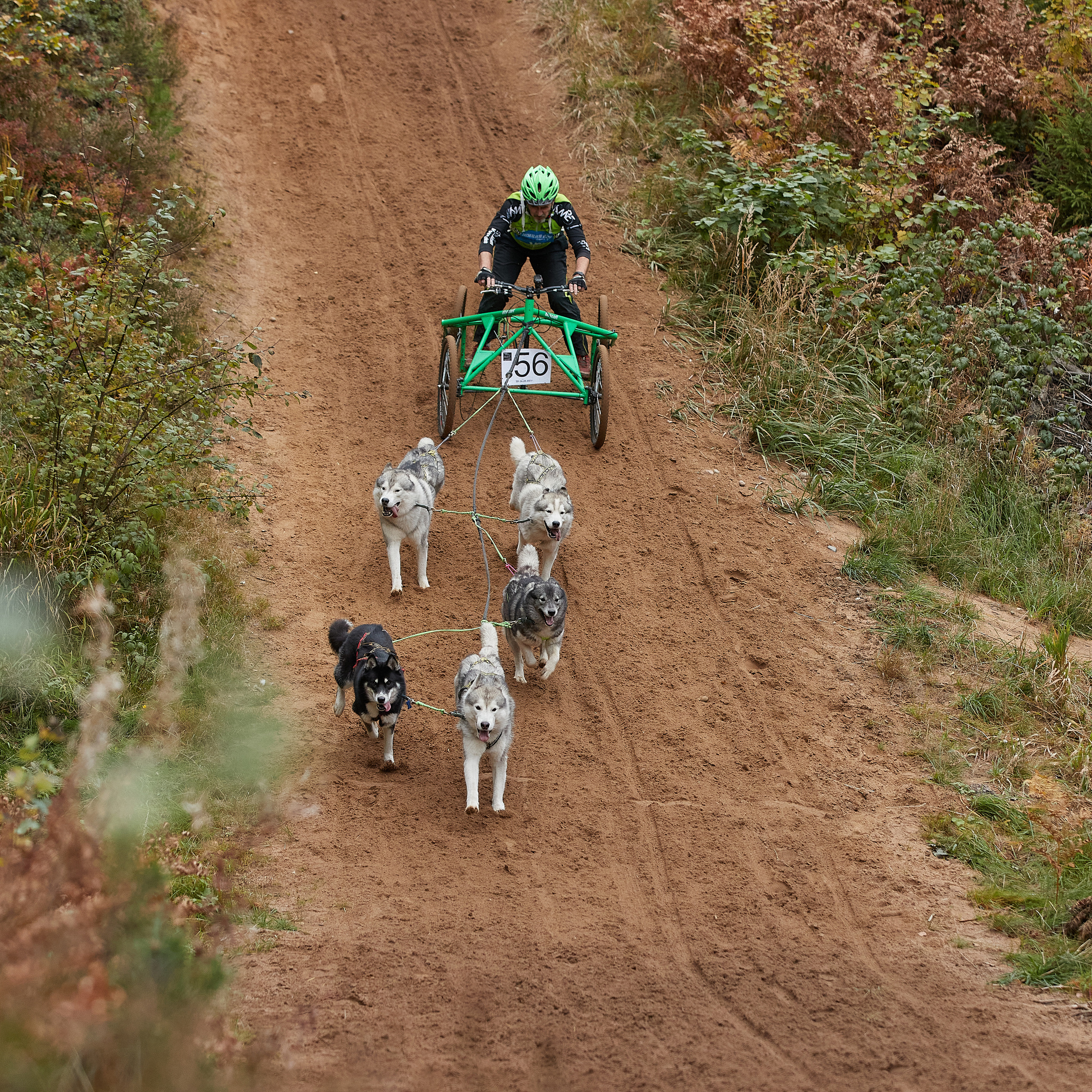ЧЕМПИОНАТ РОССИИ РКФ 25–26 сентября 2021 г. ФОТОГРАФ-АНИМАЛИСТ l LANA POLYAKOVA
