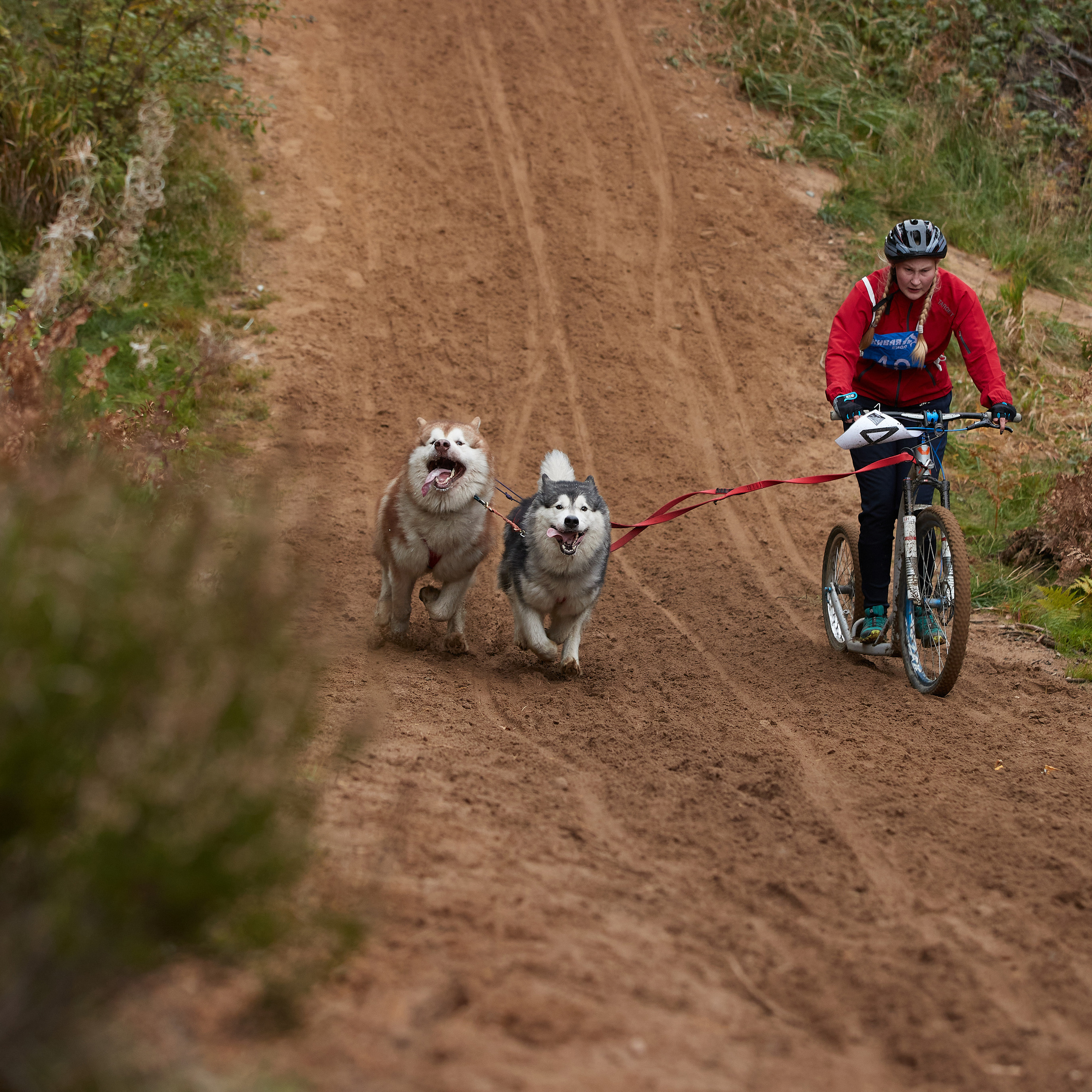 ЧЕМПИОНАТ РОССИИ РКФ 25–26 сентября 2021 г. ФОТОГРАФ-АНИМАЛИСТ l LANA POLYAKOVA