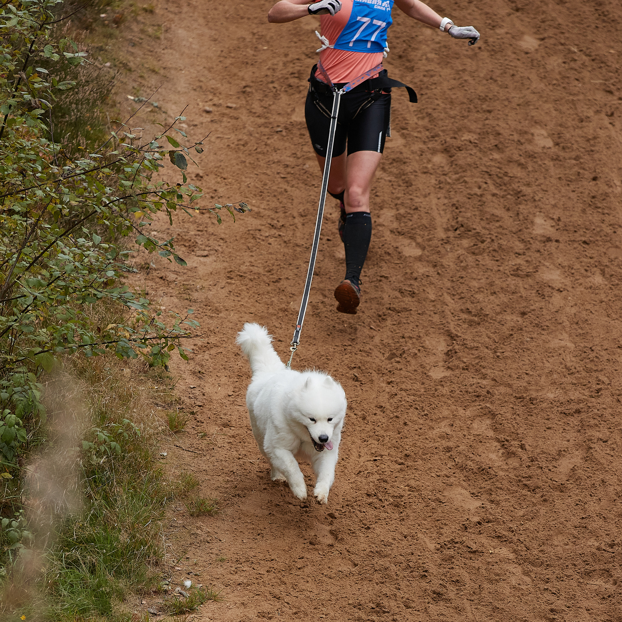ЧЕМПИОНАТ РОССИИ РКФ 25–26 сентября 2021 г. ФОТОГРАФ-АНИМАЛИСТ l LANA POLYAKOVA