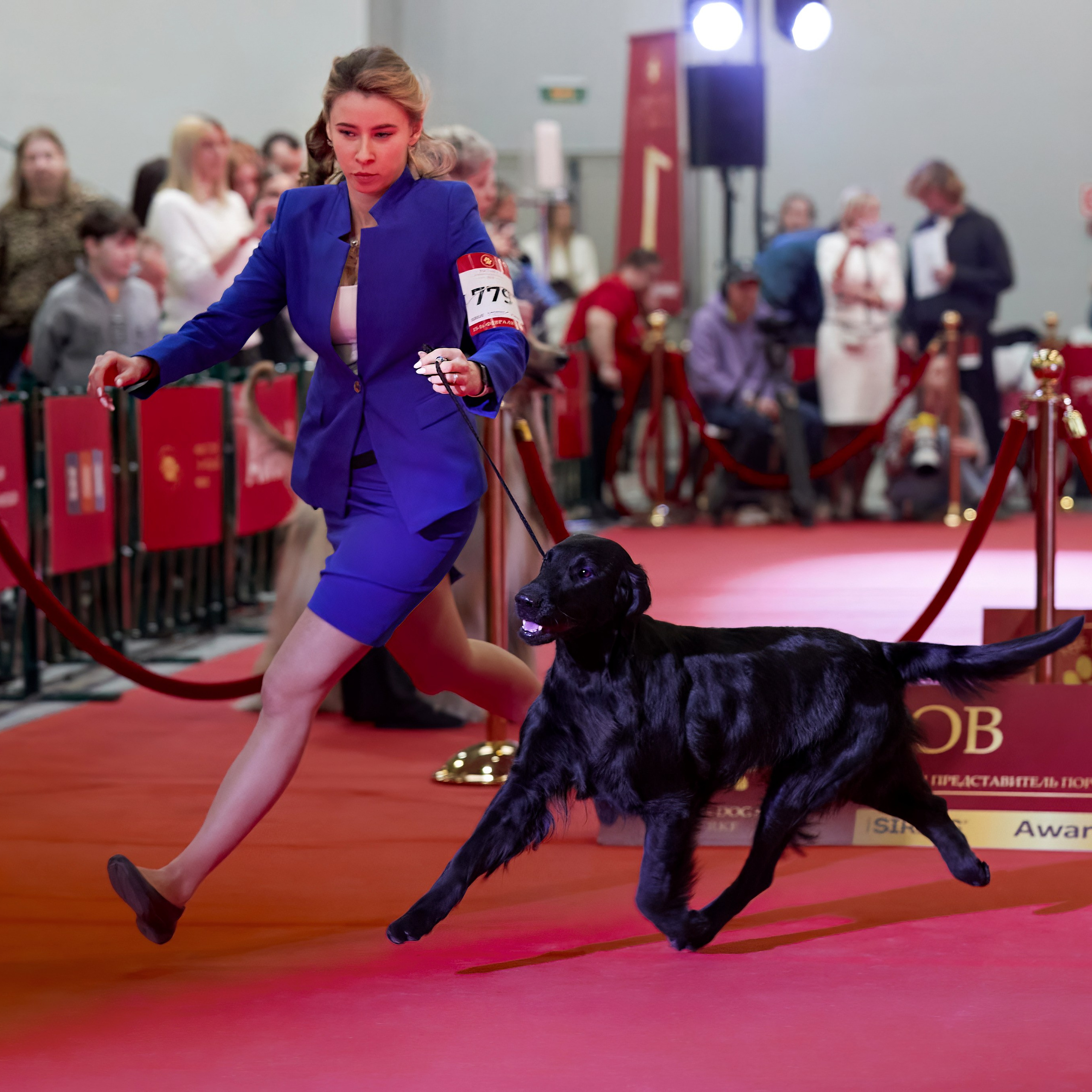 Шоу чемпионов «ЛУЧШИЕ СОБАКИ РОССИИ». ФОТОГРАФ-АНИМАЛИСТ l LANA POLYAKOVA