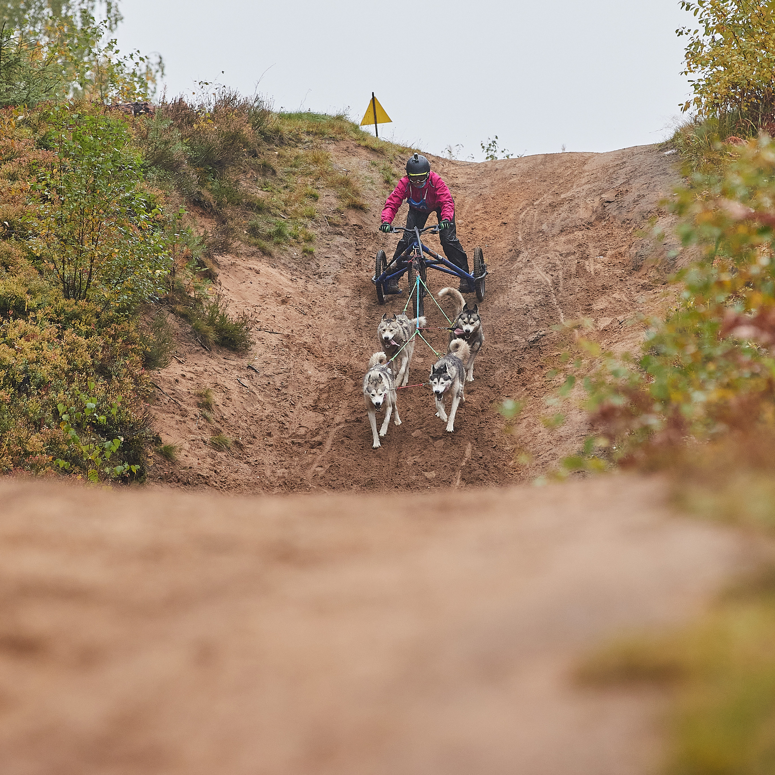 ЧЕМПИОНАТ РОССИИ РКФ 25–26 сентября 2021 г. ФОТОГРАФ-АНИМАЛИСТ l LANA POLYAKOVA