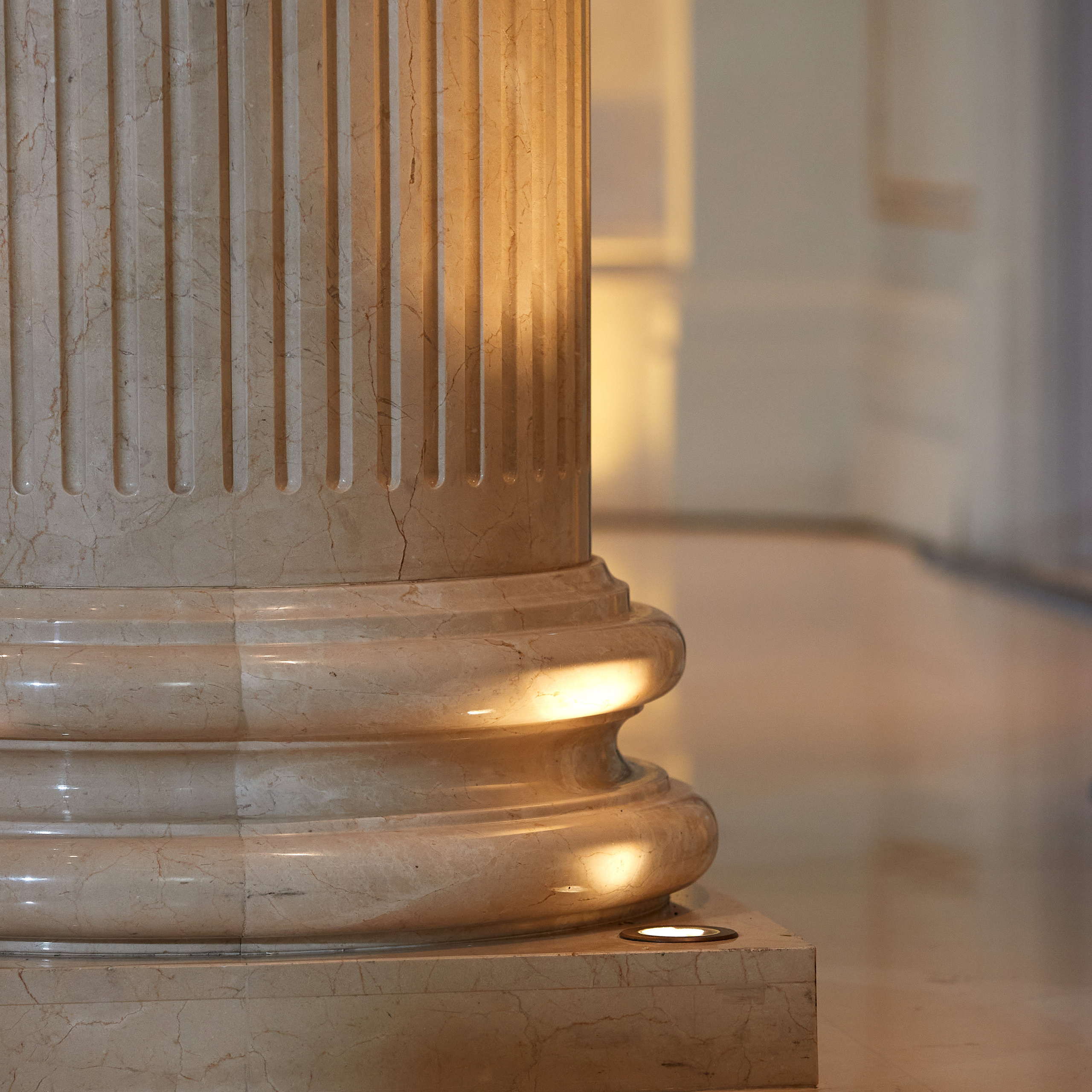 Репортаж с церемонии «BEST RUSSIAN DOG 2022». ФОТОГРАФ-АНИМАЛИСТ l LANA POLYAKOVA