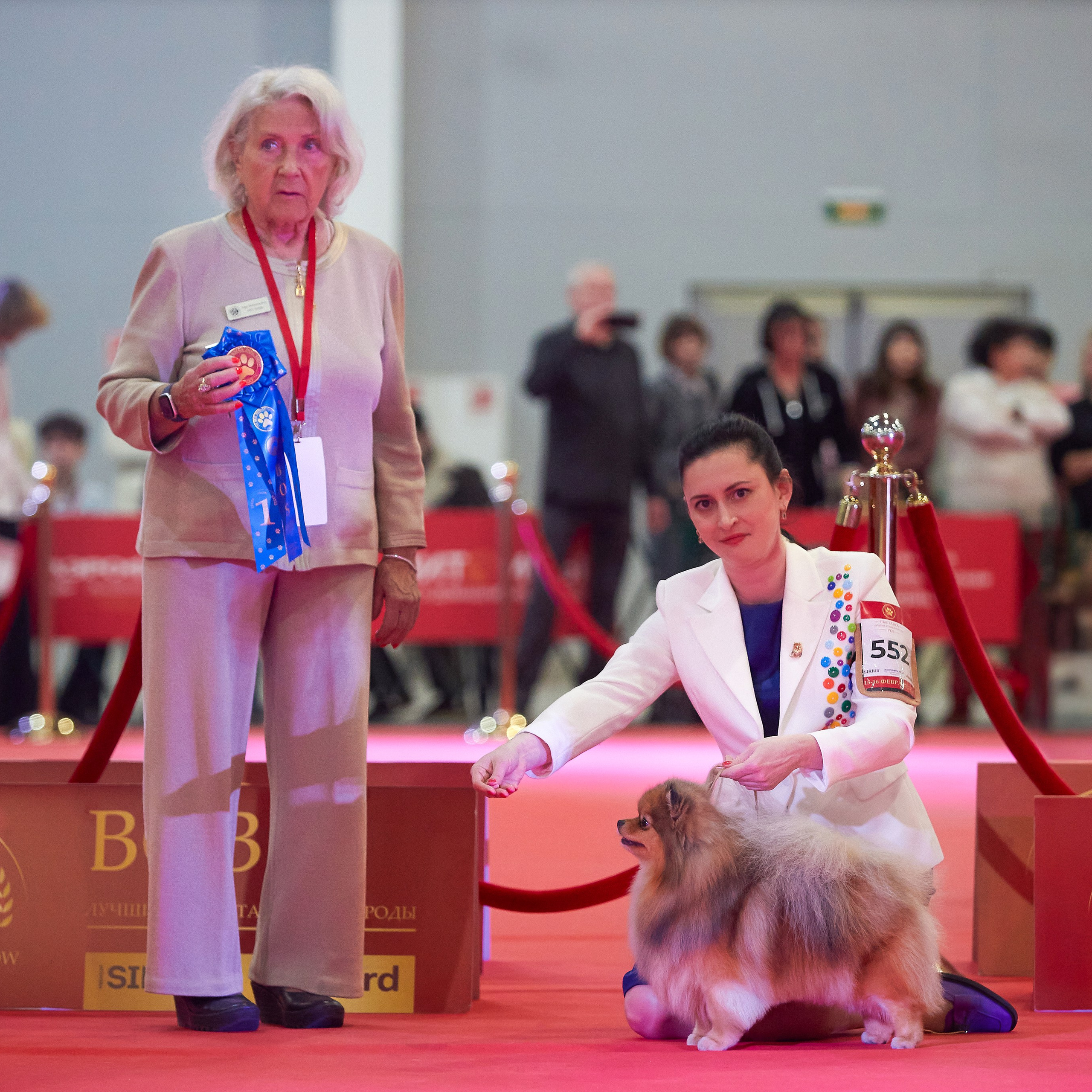 Шоу чемпионов «ЛУЧШИЕ СОБАКИ РОССИИ». ФОТОГРАФ-АНИМАЛИСТ l LANA POLYAKOVA