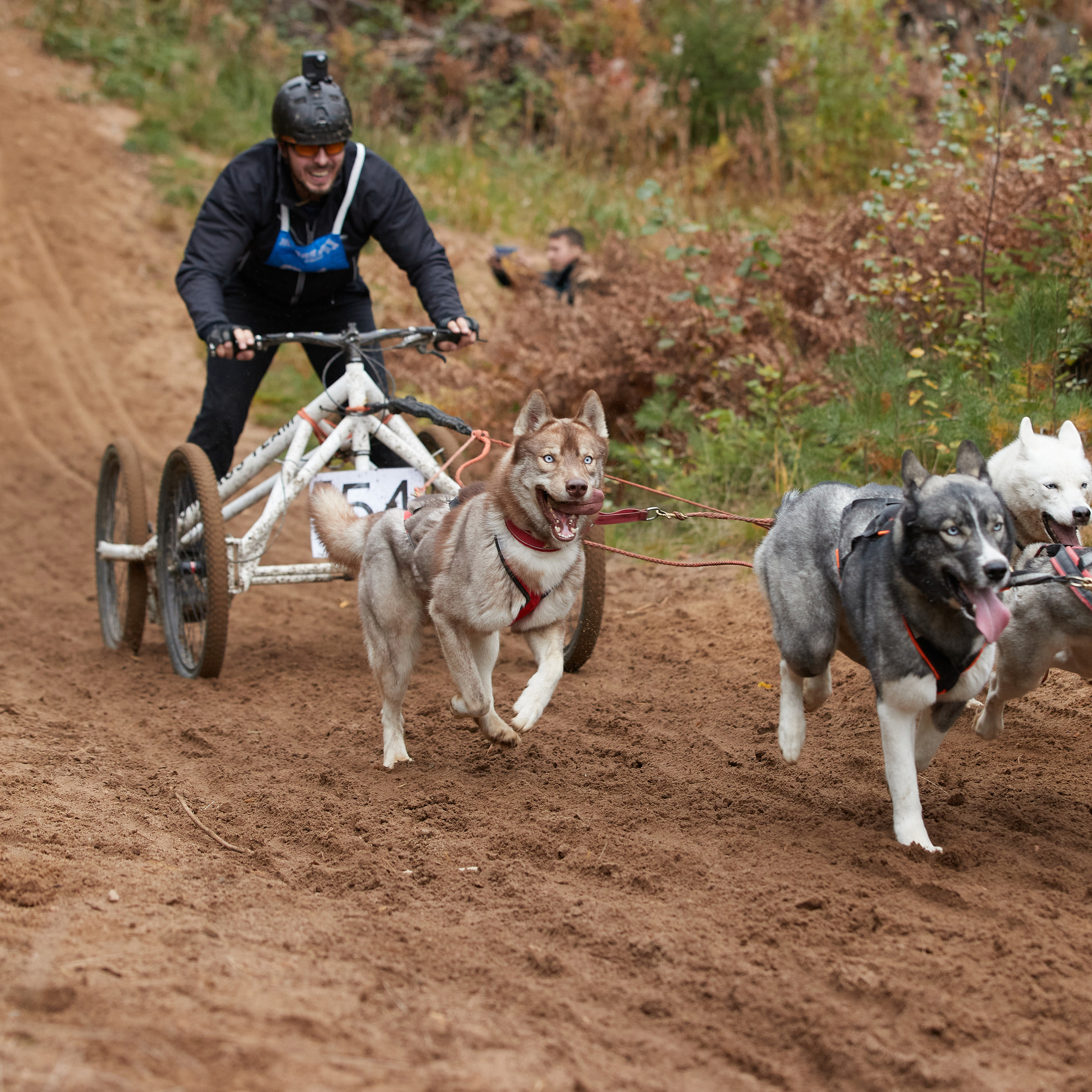 ЧЕМПИОНАТ РОССИИ РКФ 25–26 сентября 2021 г. ФОТОГРАФ-АНИМАЛИСТ l LANA POLYAKOVA