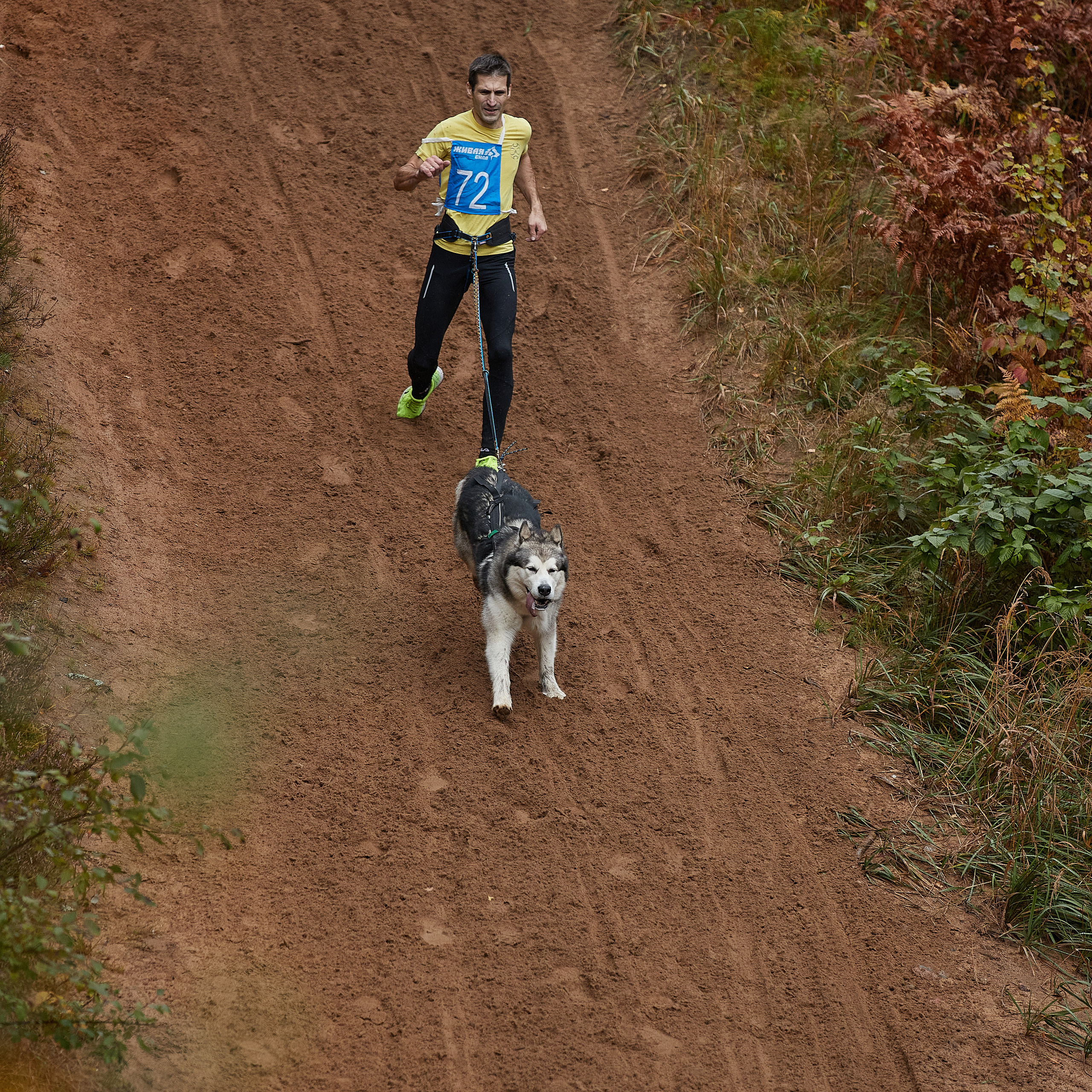ЧЕМПИОНАТ РОССИИ РКФ 25–26 сентября 2021 г. ФОТОГРАФ-АНИМАЛИСТ l LANA POLYAKOVA