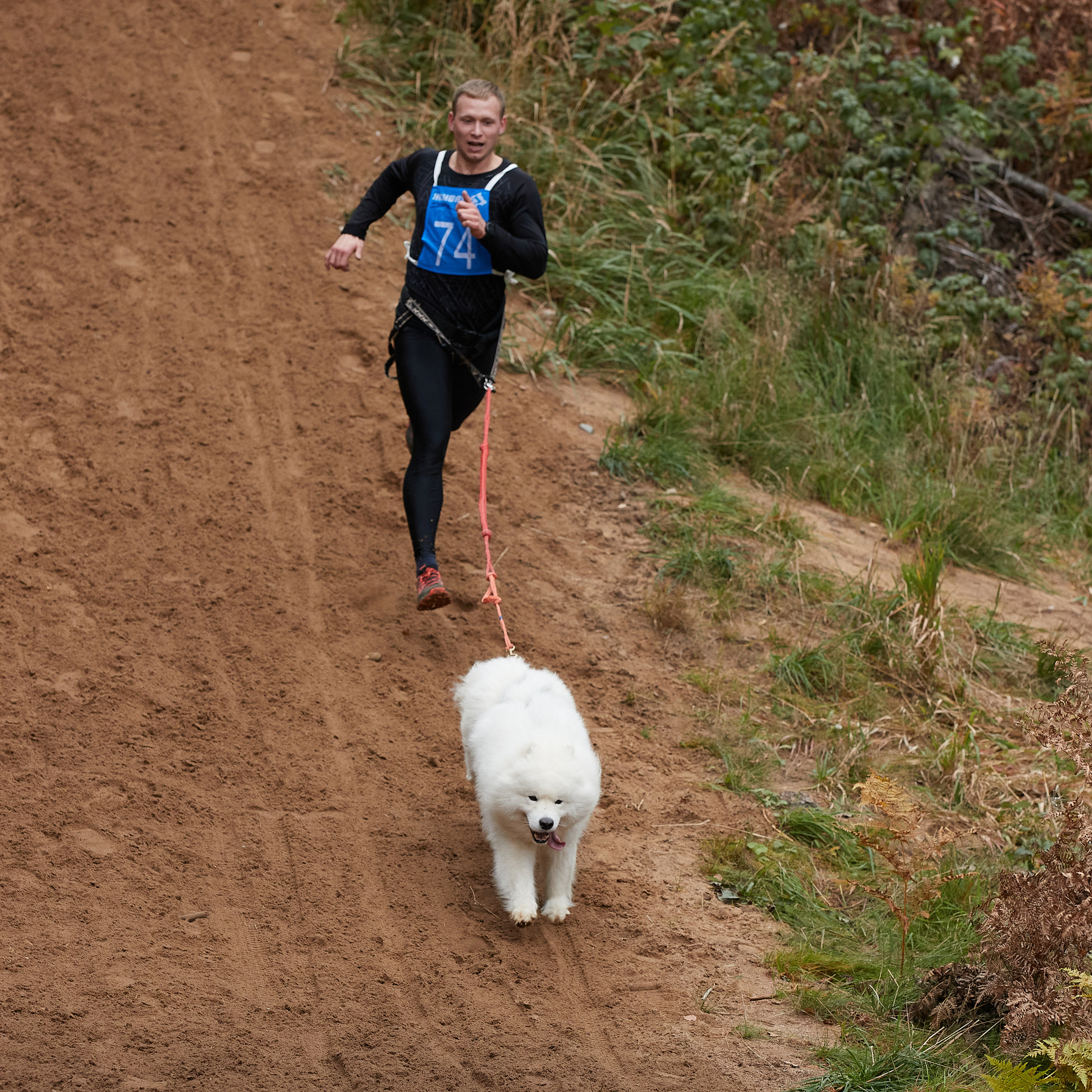 ЧЕМПИОНАТ РОССИИ РКФ 25–26 сентября 2021 г. ФОТОГРАФ-АНИМАЛИСТ l LANA POLYAKOVA