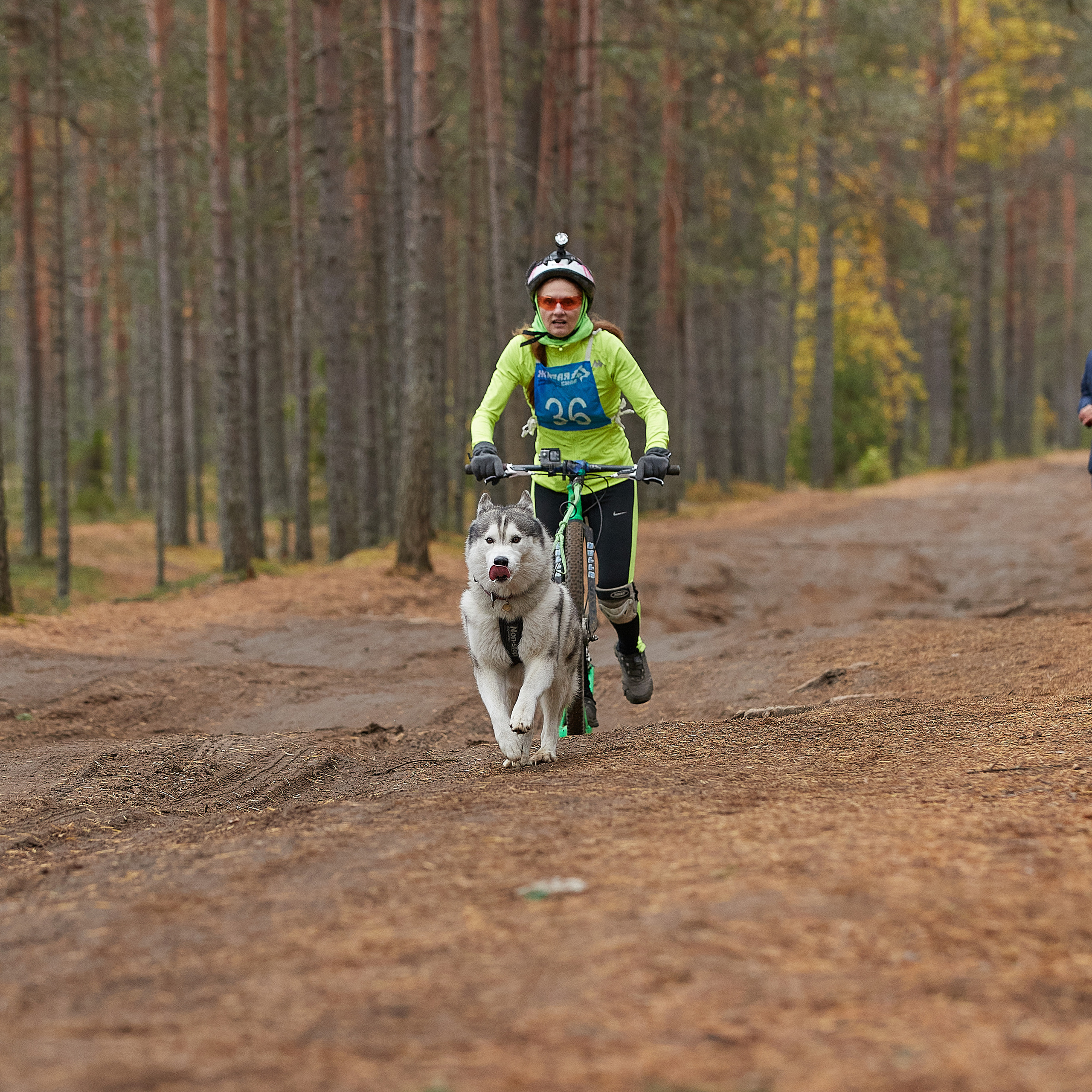ЧЕМПИОНАТ РОССИИ РКФ 25–26 сентября 2021 г. ФОТОГРАФ-АНИМАЛИСТ l LANA POLYAKOVA