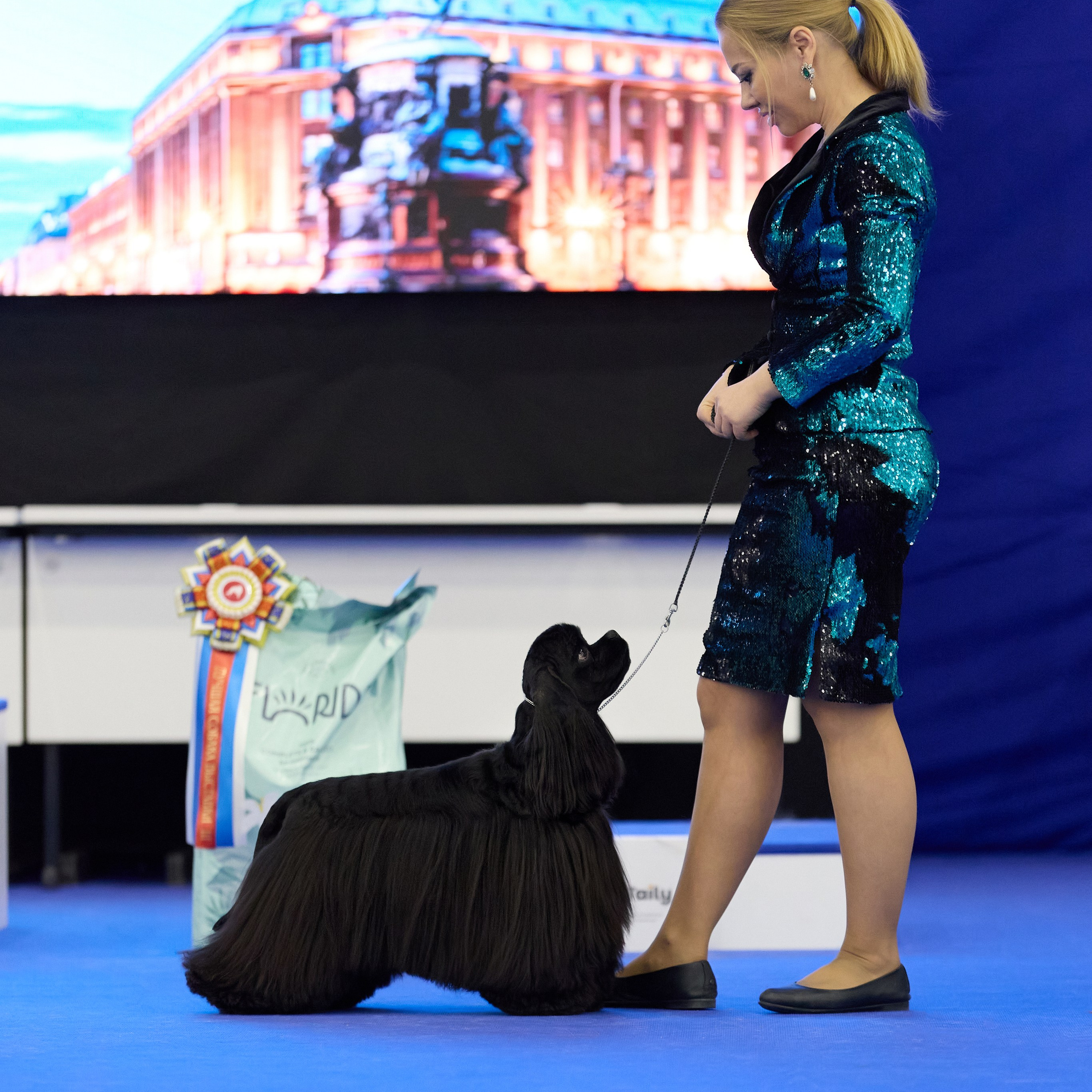 ВЫСТАВКА СОБАК С ОСОБЫМ СТАТУСОМ «НЕВСКИЙ ПОБЕДИТЕЛЬ» 12-13-14.12.2025. ФОТОГРАФ-АНИМАЛИСТ l LANA POLYAKOVA