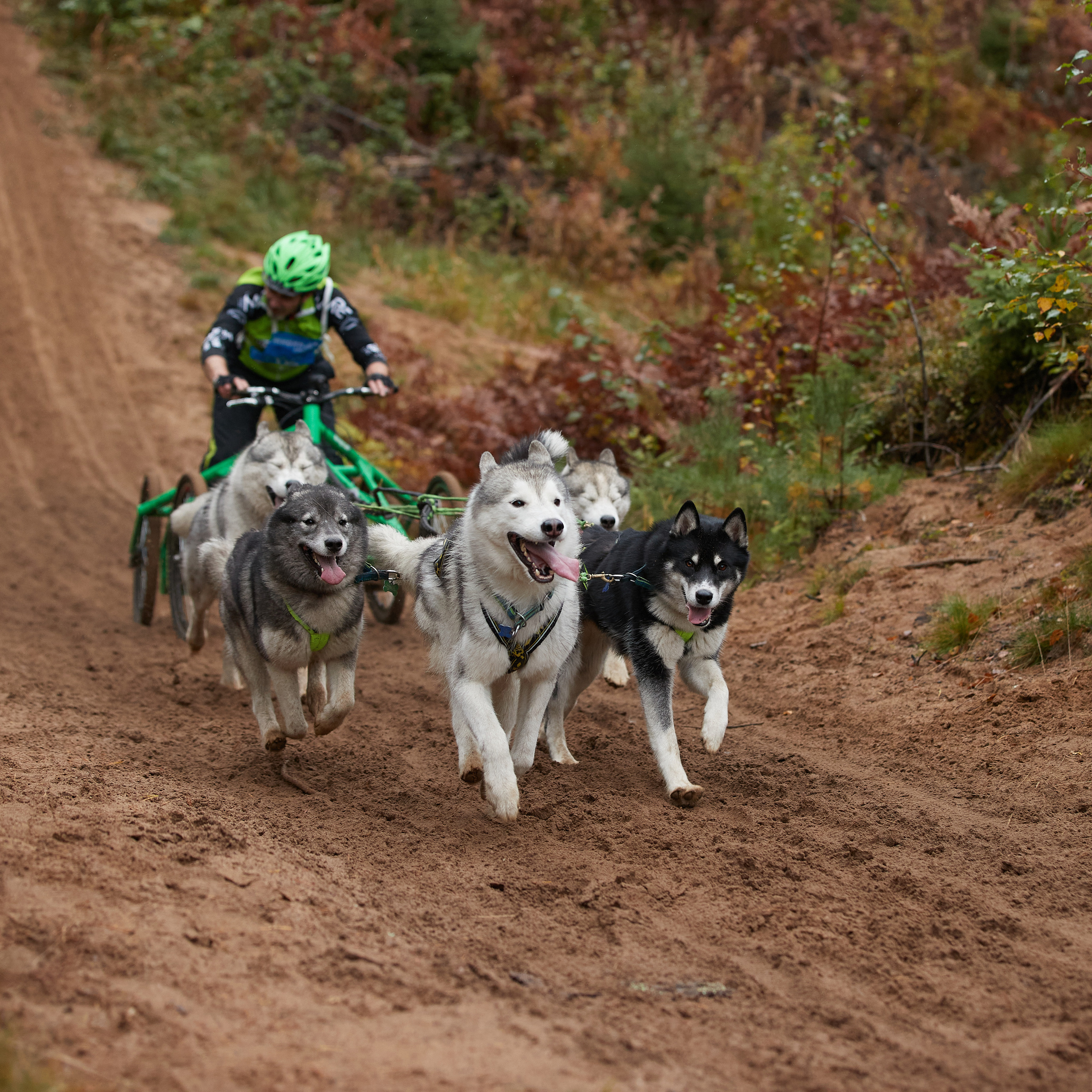 ЧЕМПИОНАТ РОССИИ РКФ 25–26 сентября 2021 г. ФОТОГРАФ-АНИМАЛИСТ l LANA POLYAKOVA
