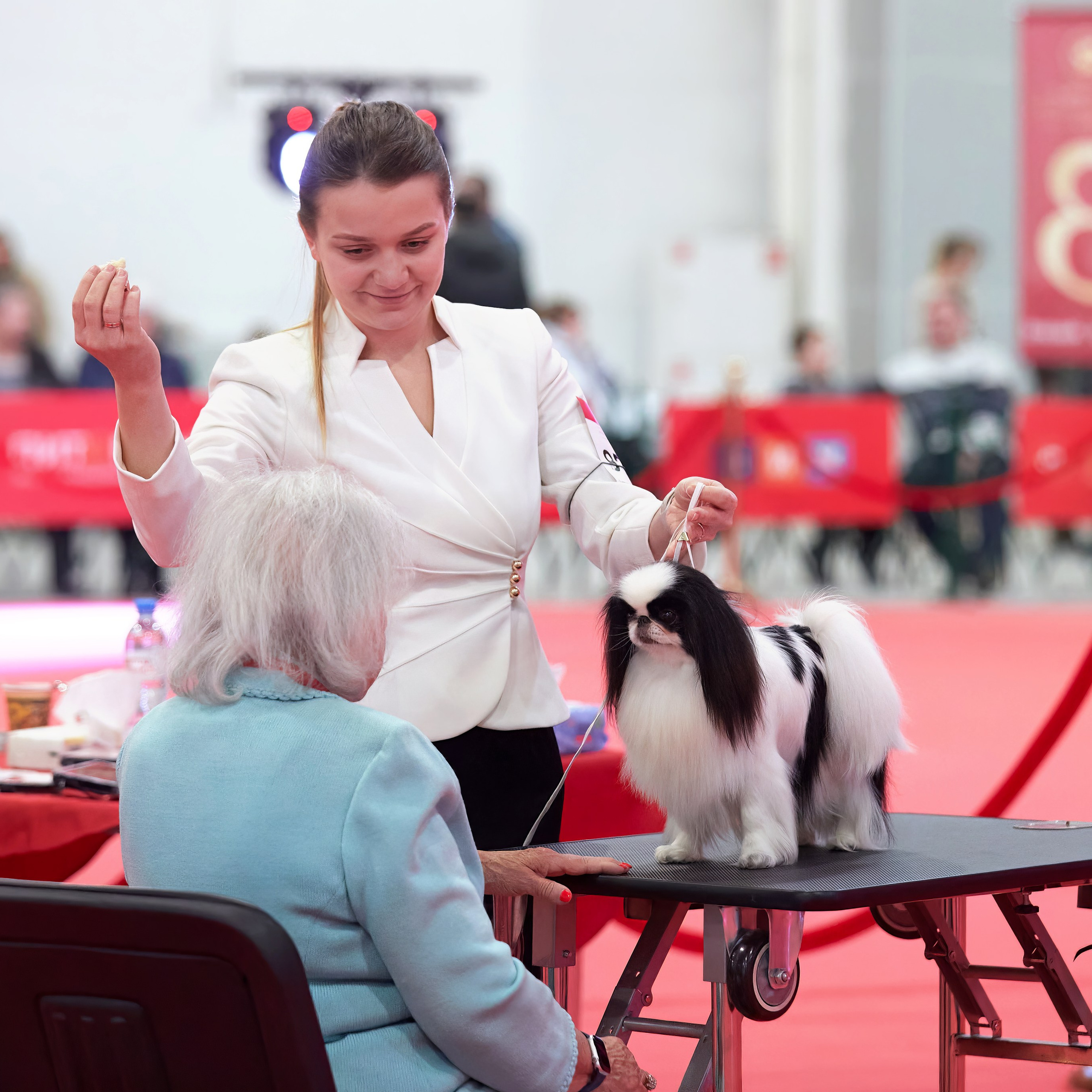 Шоу чемпионов «ЛУЧШИЕ СОБАКИ РОССИИ». ФОТОГРАФ-АНИМАЛИСТ l LANA POLYAKOVA