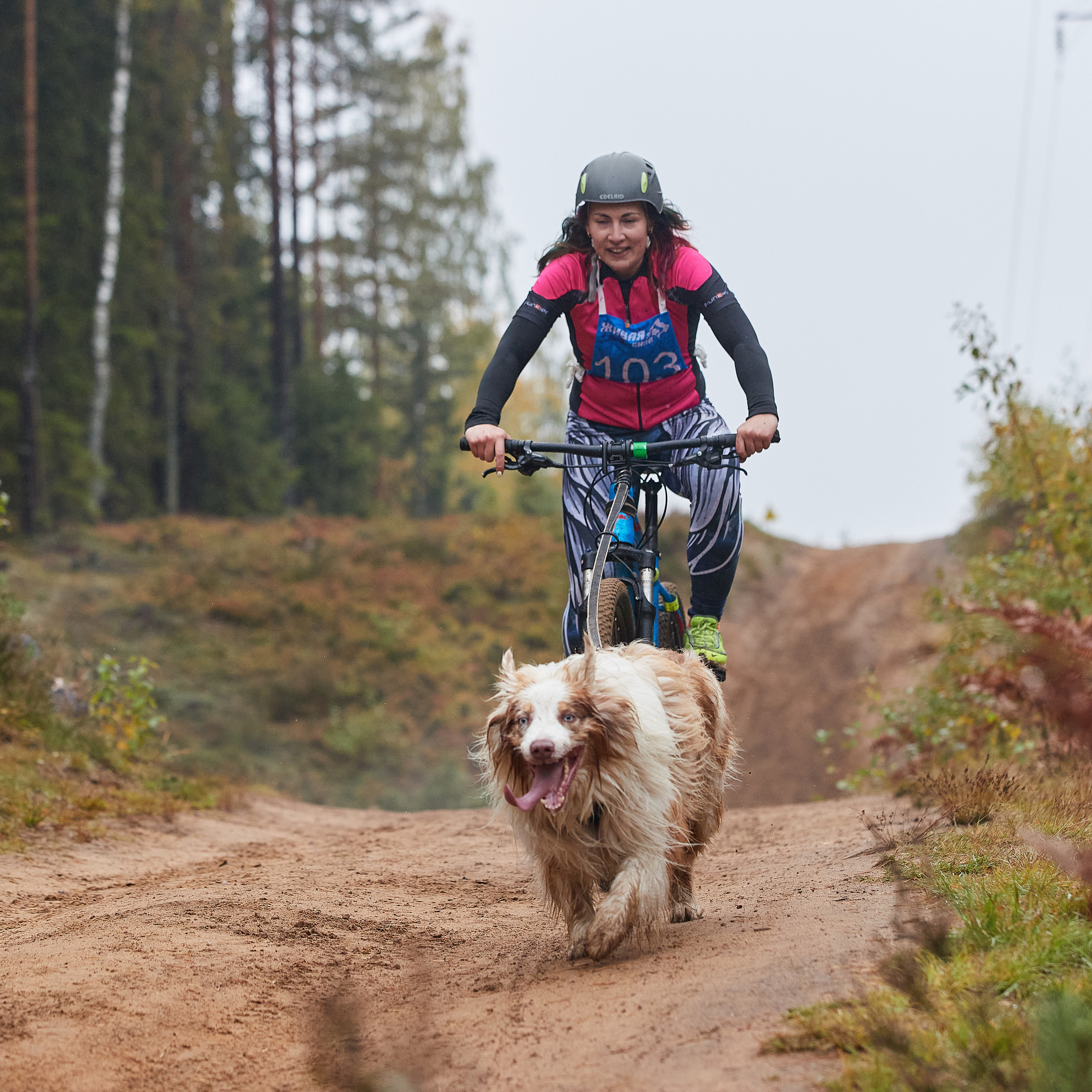ЧЕМПИОНАТ РОССИИ РКФ 25–26 сентября 2021 г. ФОТОГРАФ-АНИМАЛИСТ l LANA POLYAKOVA
