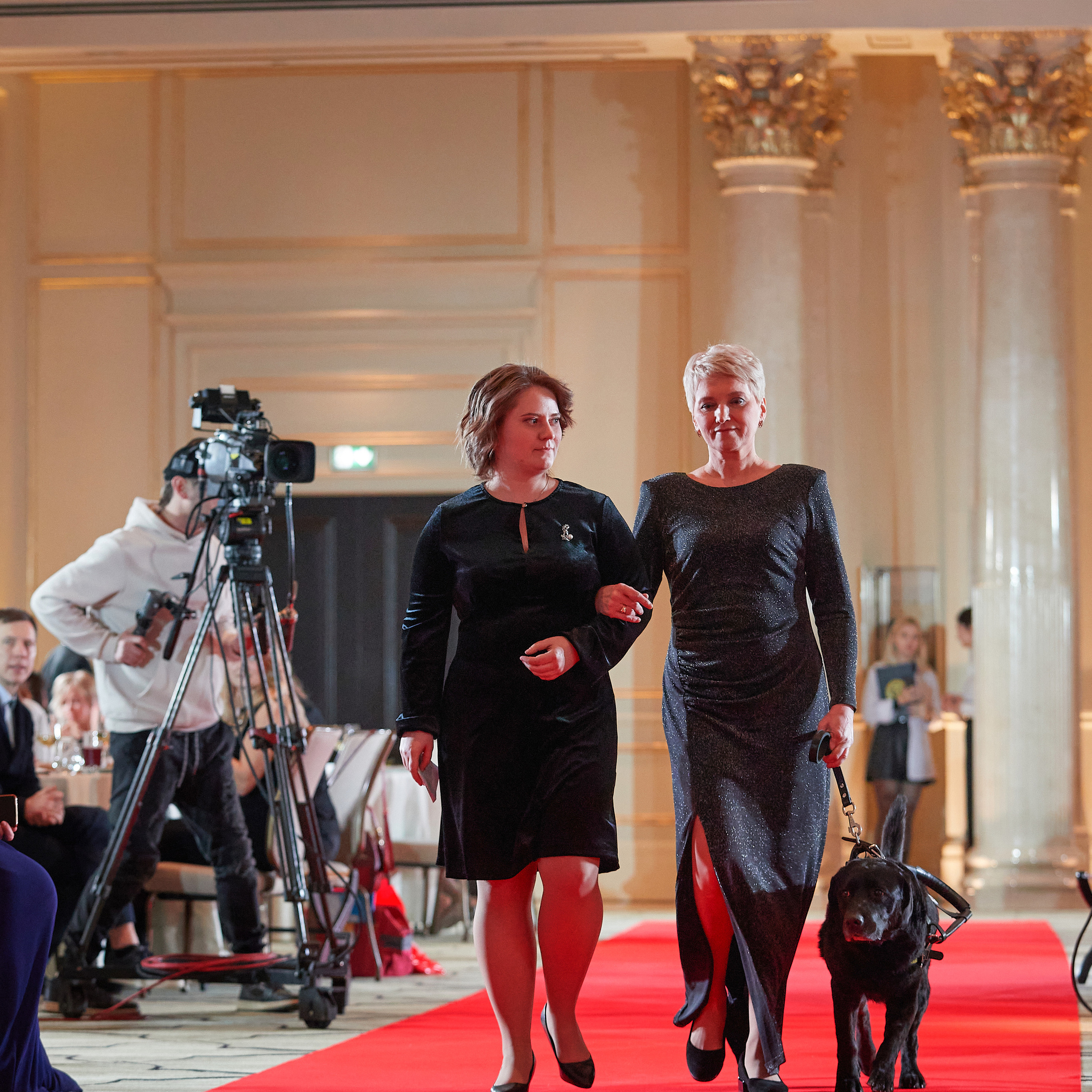 Репортаж с церемонии «BEST RUSSIAN DOG 2022». ФОТОГРАФ-АНИМАЛИСТ l LANA POLYAKOVA