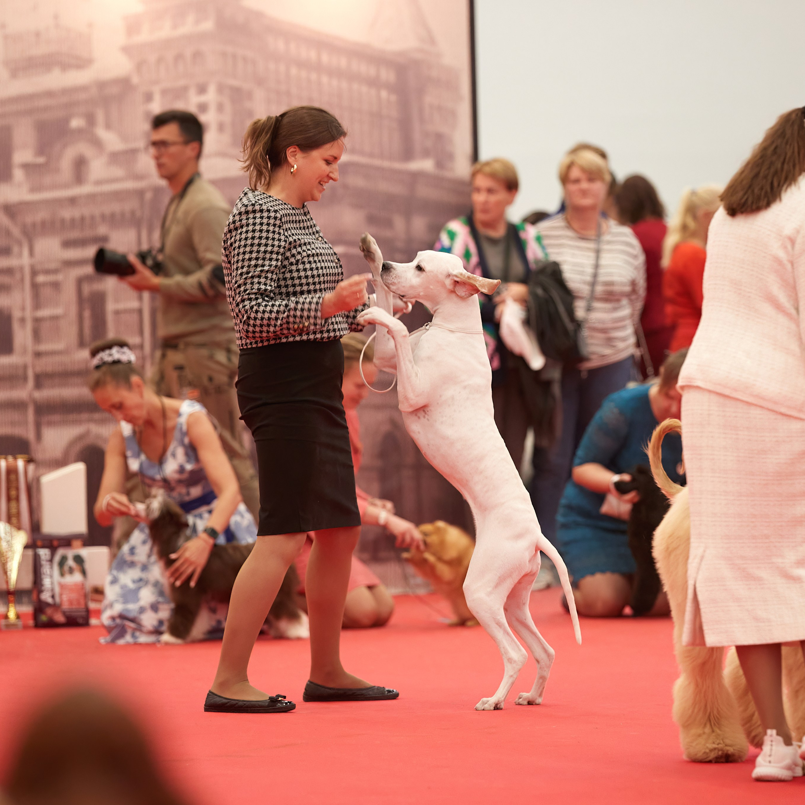 «СЕЗОН В НИЖНЕМ» НИЖНИЙ НОВГОРОД-2024. ФОТОГРАФ-АНИМАЛИСТ l LANA POLYAKOVA
