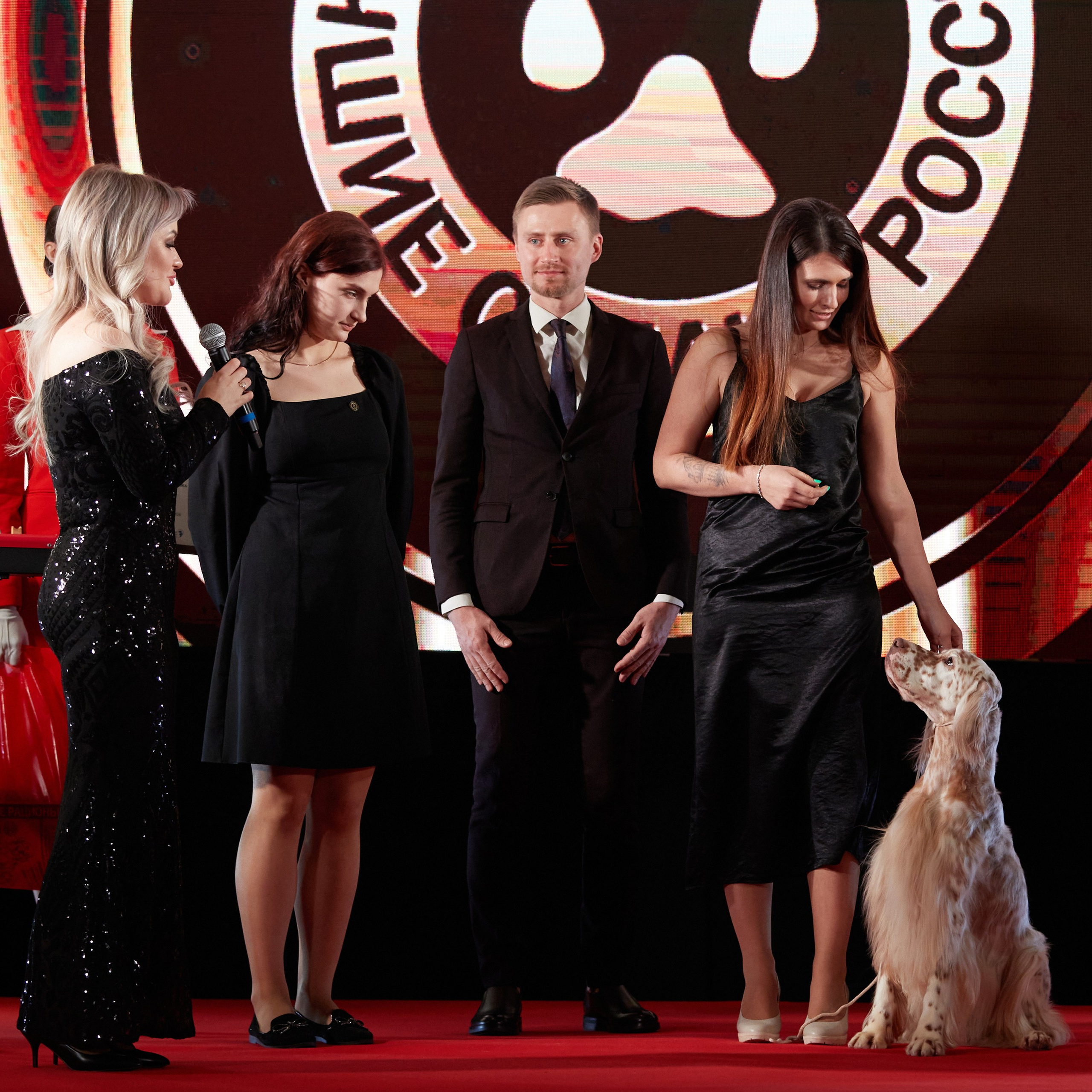 Репортаж с церемонии «BEST RUSSIAN DOG 2023». ФОТОГРАФ-АНИМАЛИСТ l LANA POLYAKOVA