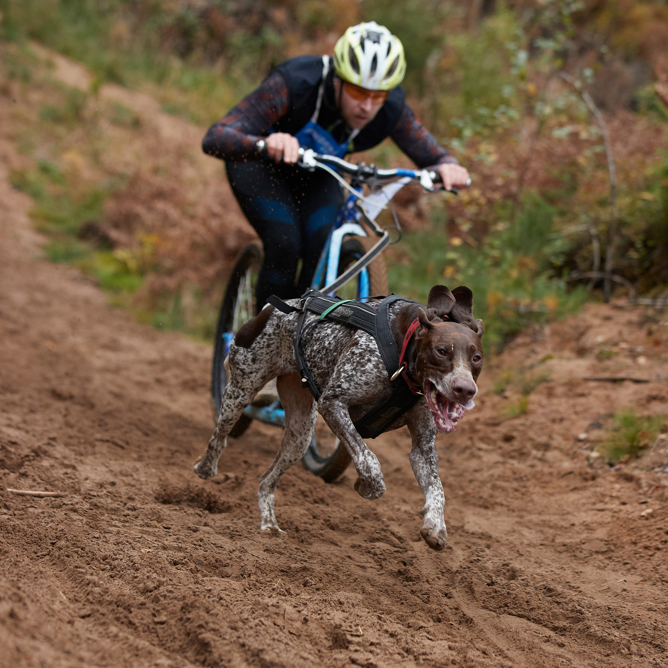 ЧЕМПИОНАТ РОССИИ РКФ 25–26 сентября 2021 г. ФОТОГРАФ-АНИМАЛИСТ l LANA POLYAKOVA