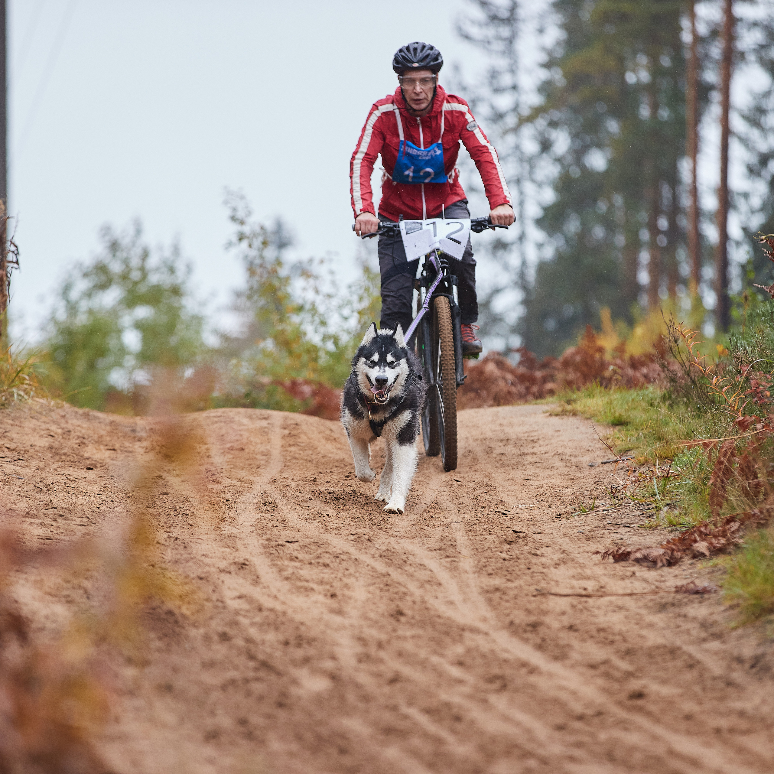 ЧЕМПИОНАТ РОССИИ РКФ 25–26 сентября 2021 г. ФОТОГРАФ-АНИМАЛИСТ l LANA POLYAKOVA