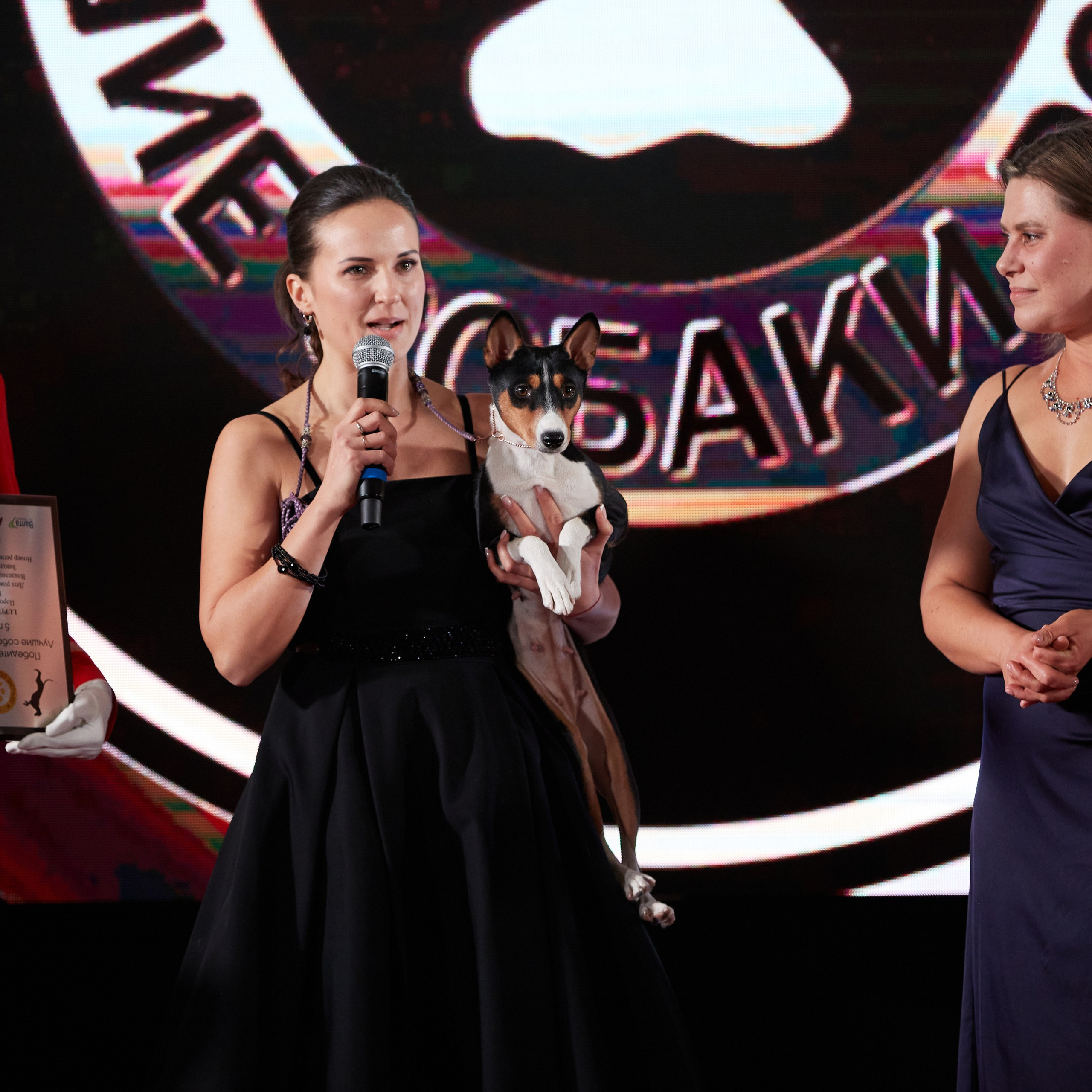 Репортаж с церемонии «BEST RUSSIAN DOG 2023». ФОТОГРАФ-АНИМАЛИСТ l LANA POLYAKOVA