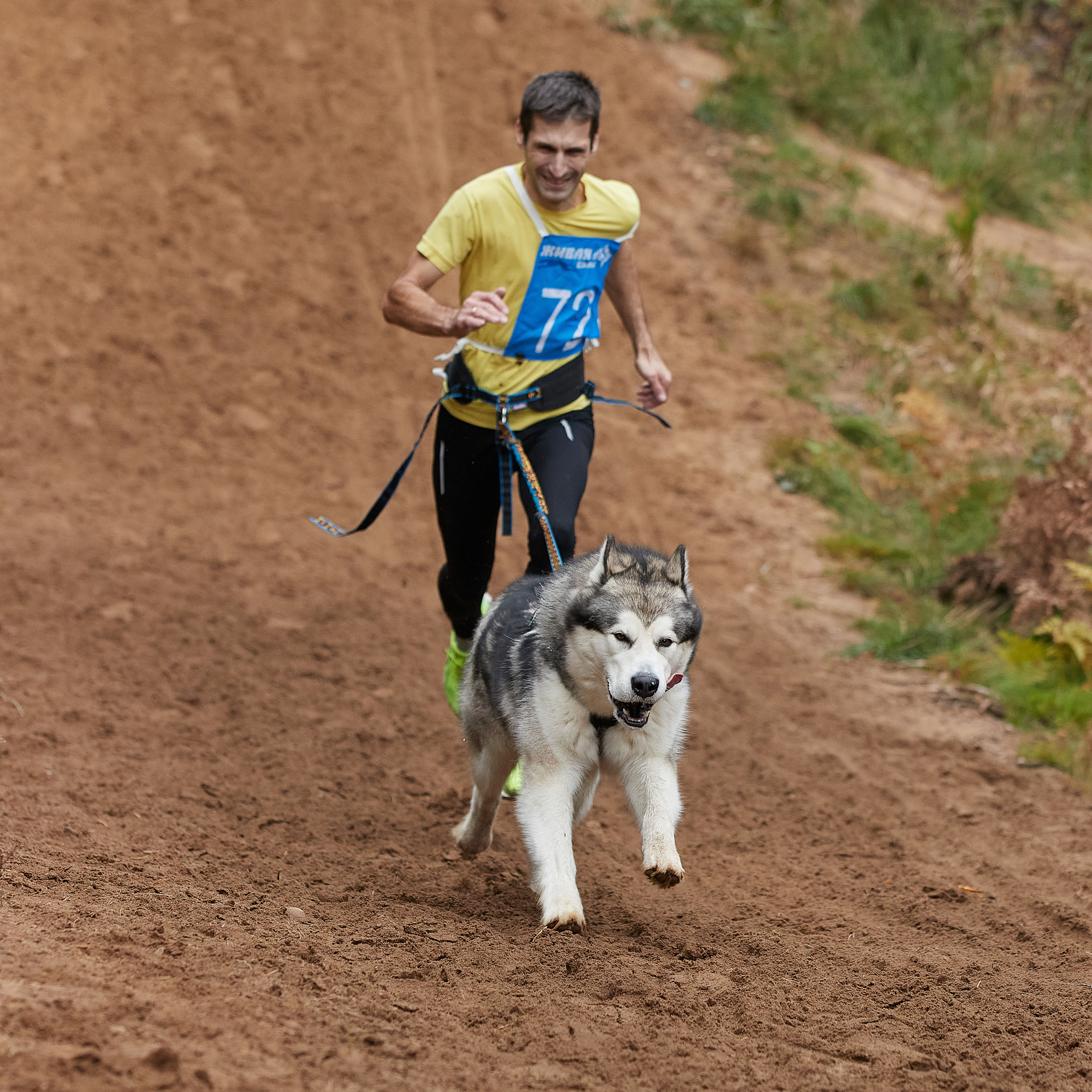 ЧЕМПИОНАТ РОССИИ РКФ 25–26 сентября 2021 г. ФОТОГРАФ-АНИМАЛИСТ l LANA POLYAKOVA