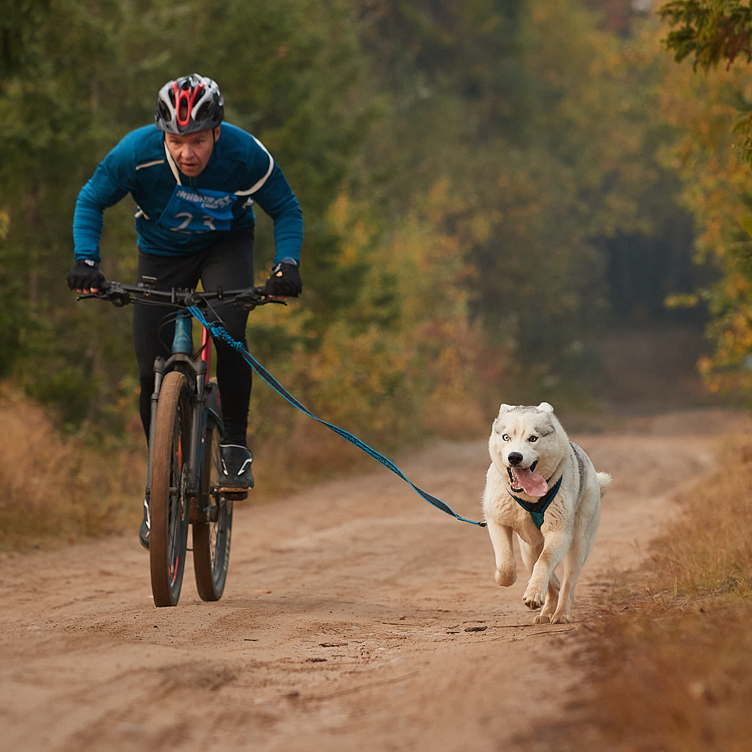 ЧЕМПИОНАТ РОССИИ РКФ 27 сентября 2020 г., 2й день. ФОТОГРАФ-АНИМАЛИСТ l LANA POLYAKOVA