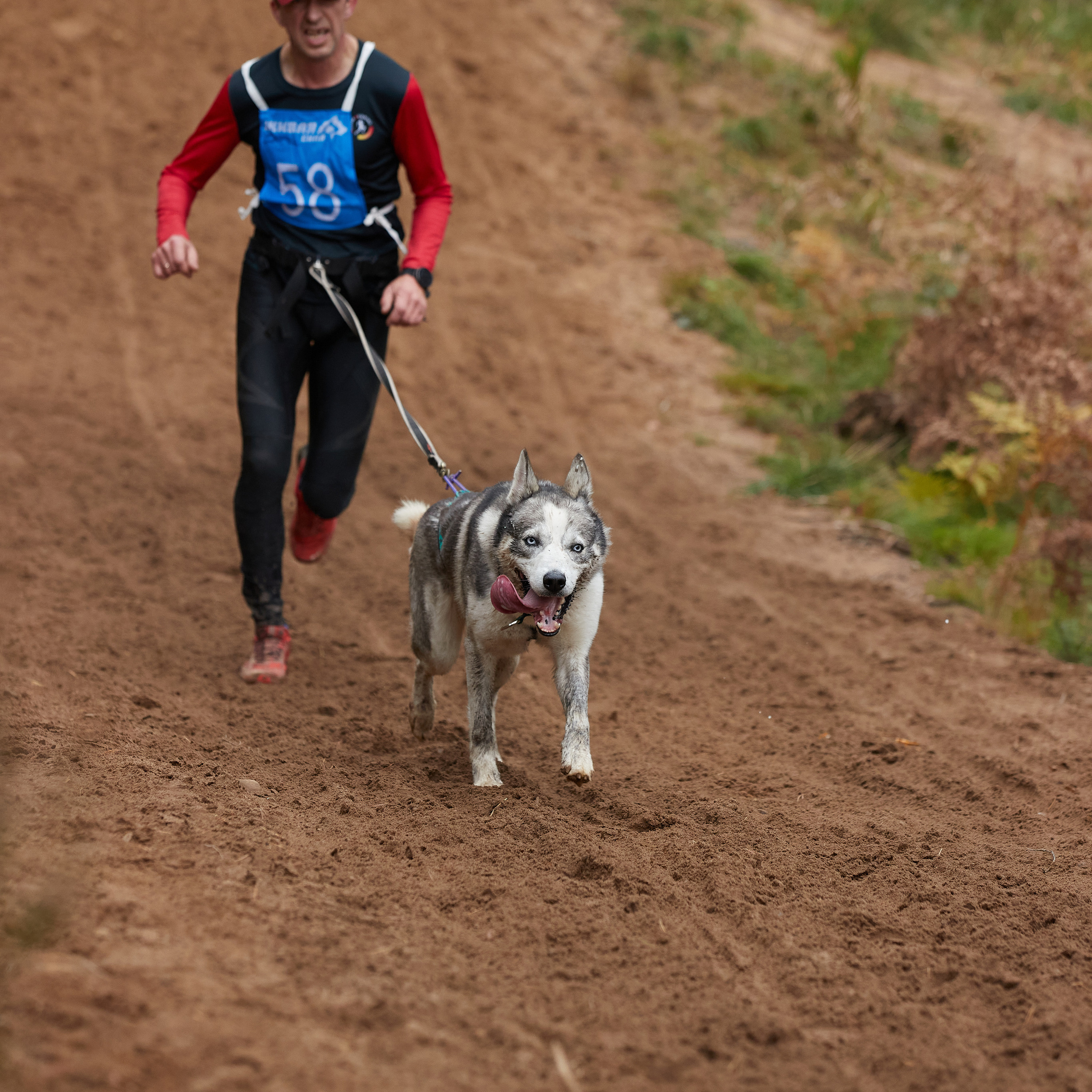 ЧЕМПИОНАТ РОССИИ РКФ 25–26 сентября 2021 г. ФОТОГРАФ-АНИМАЛИСТ l LANA POLYAKOVA