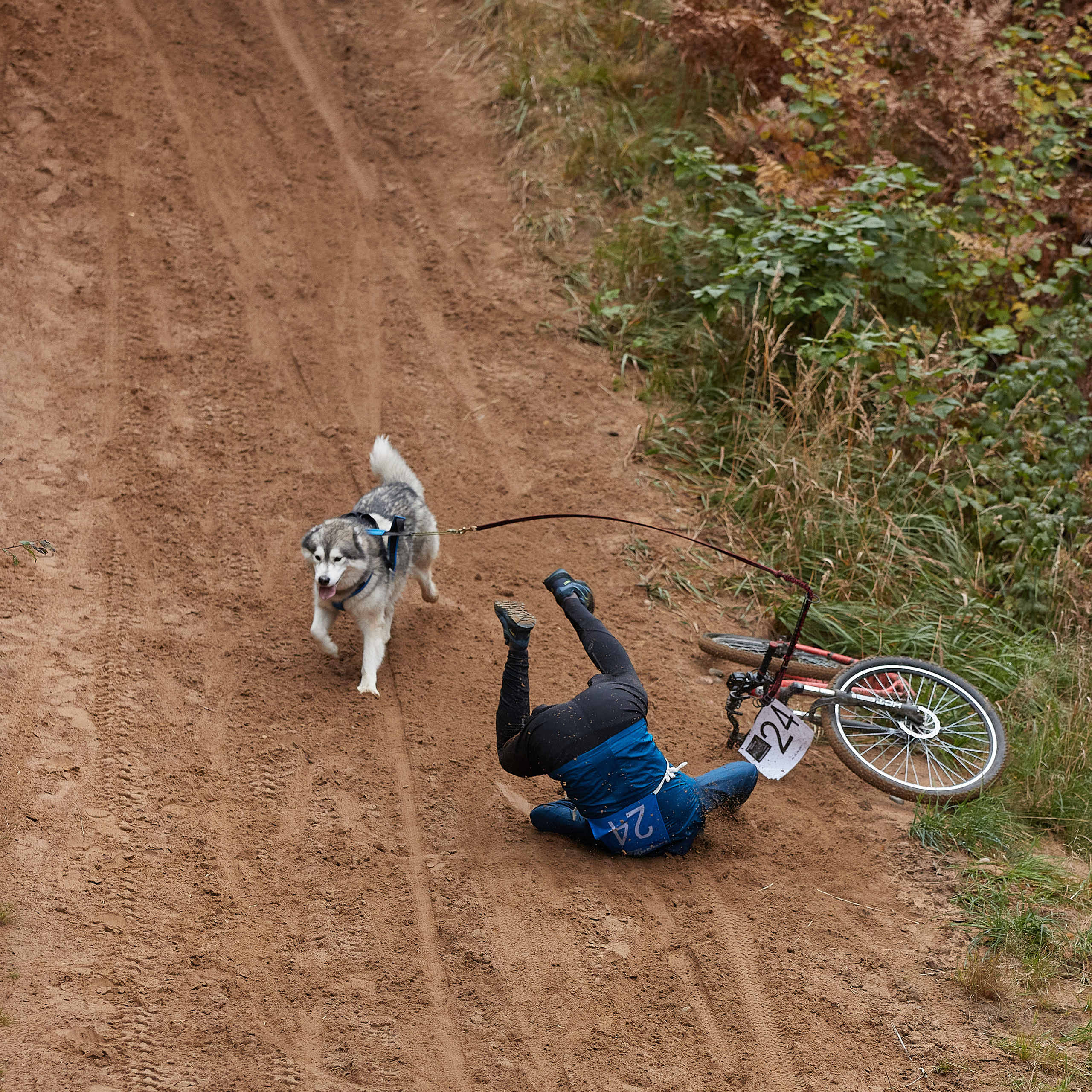 ЧЕМПИОНАТ РОССИИ РКФ 25–26 сентября 2021 г. ФОТОГРАФ-АНИМАЛИСТ l LANA POLYAKOVA
