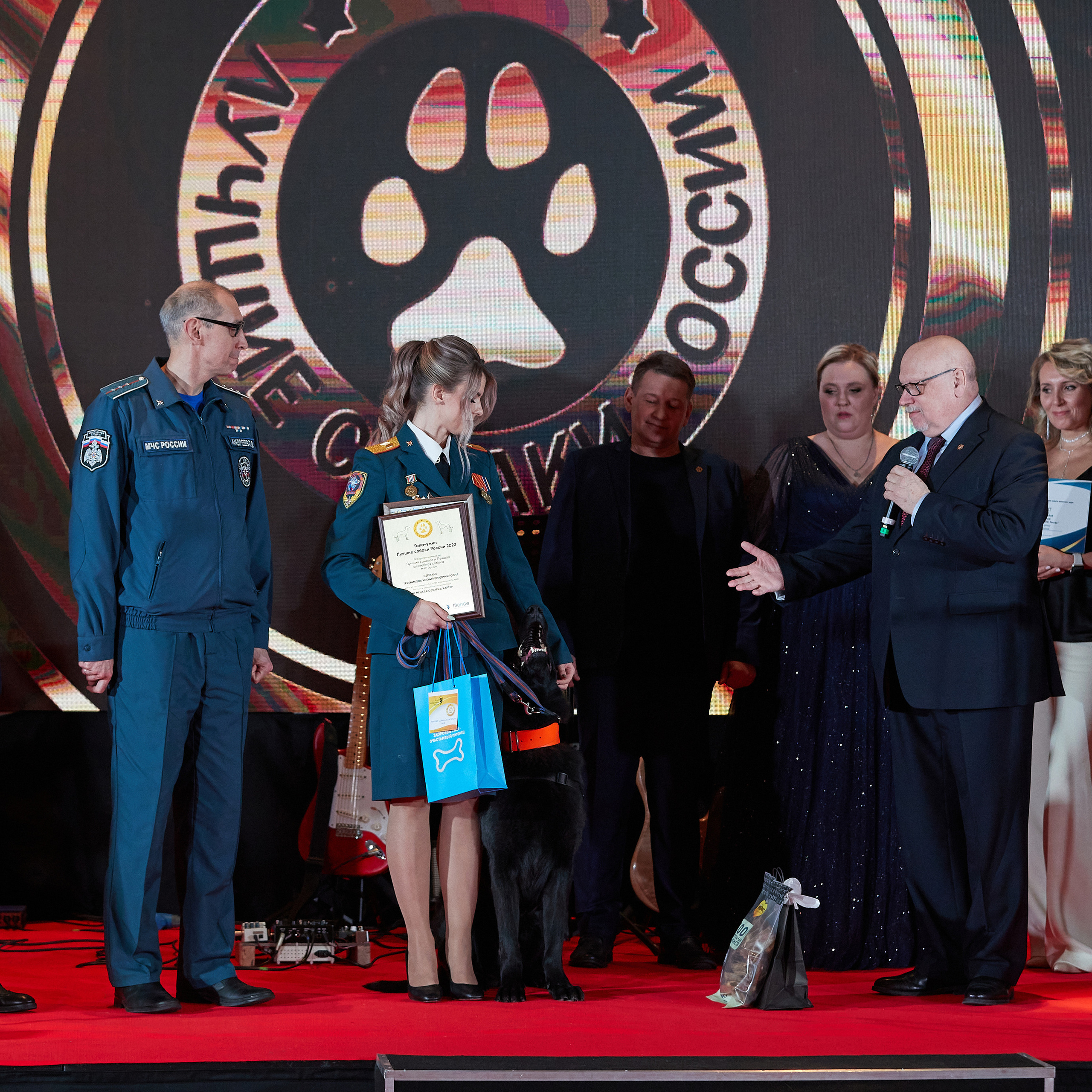 Репортаж с церемонии «BEST RUSSIAN DOG 2022». ФОТОГРАФ-АНИМАЛИСТ l LANA POLYAKOVA