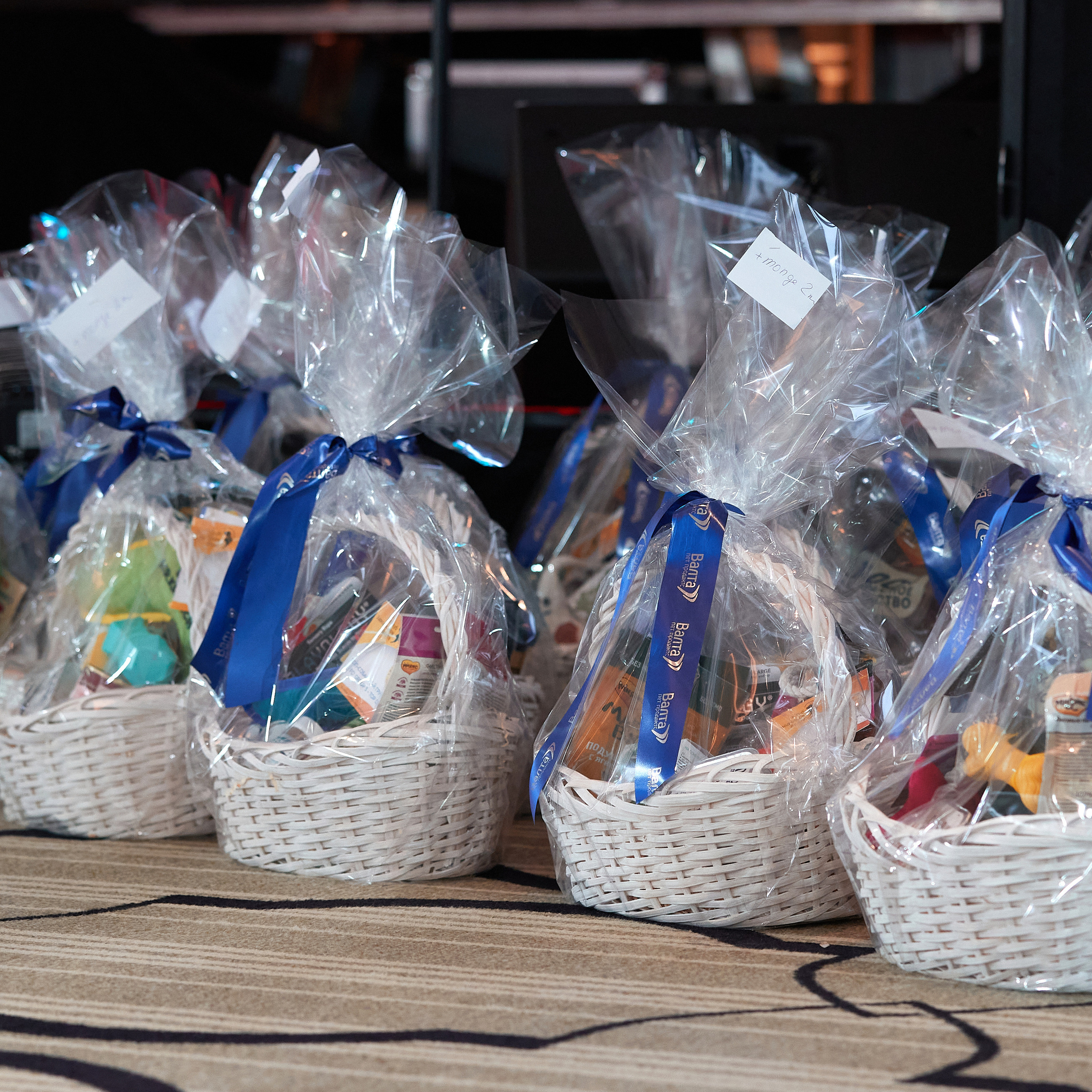 Репортаж с церемонии «BEST RUSSIAN DOG 2022». ФОТОГРАФ-АНИМАЛИСТ l LANA POLYAKOVA