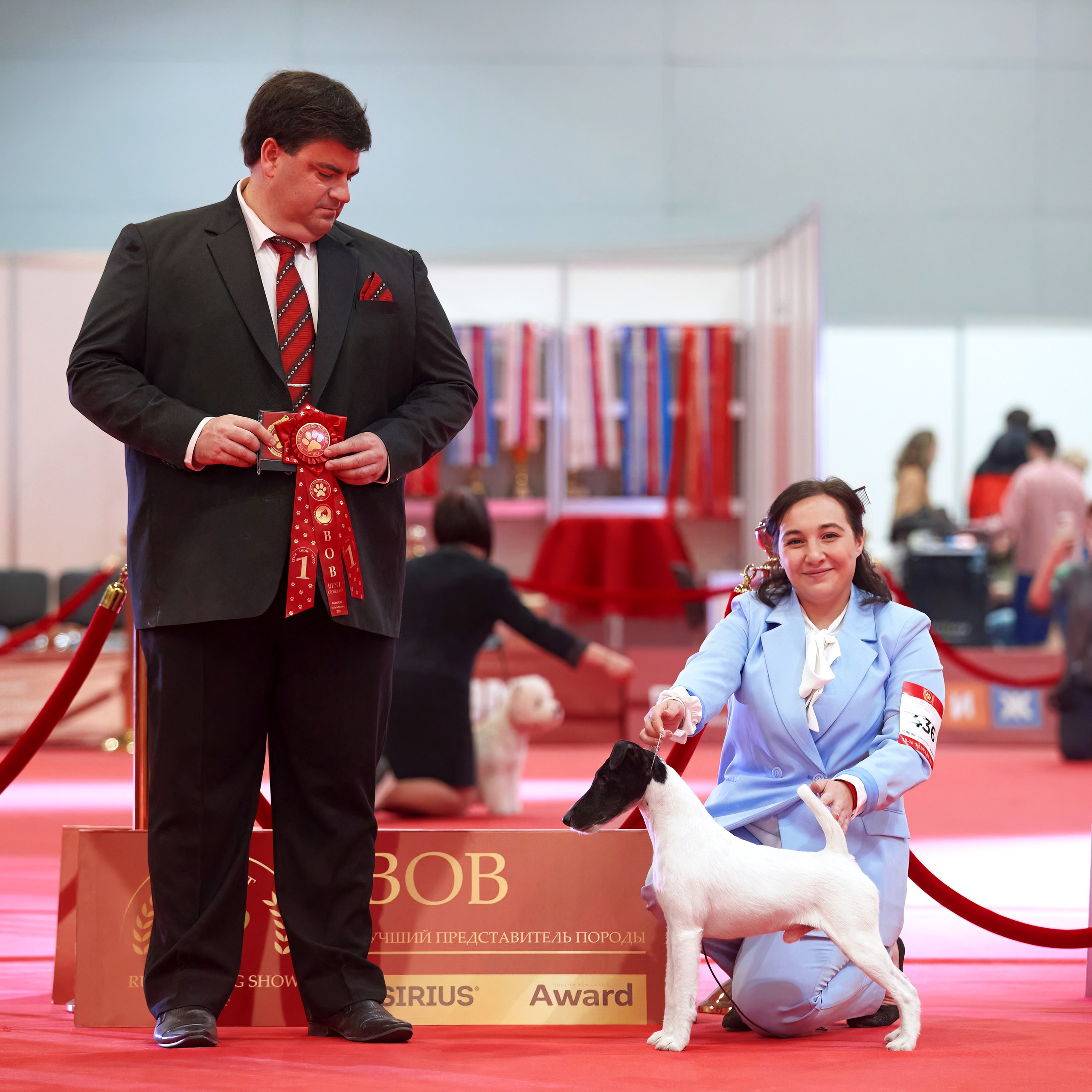 Шоу чемпионов «ЛУЧШИЕ СОБАКИ РОССИИ». ФОТОГРАФ-АНИМАЛИСТ l LANA POLYAKOVA