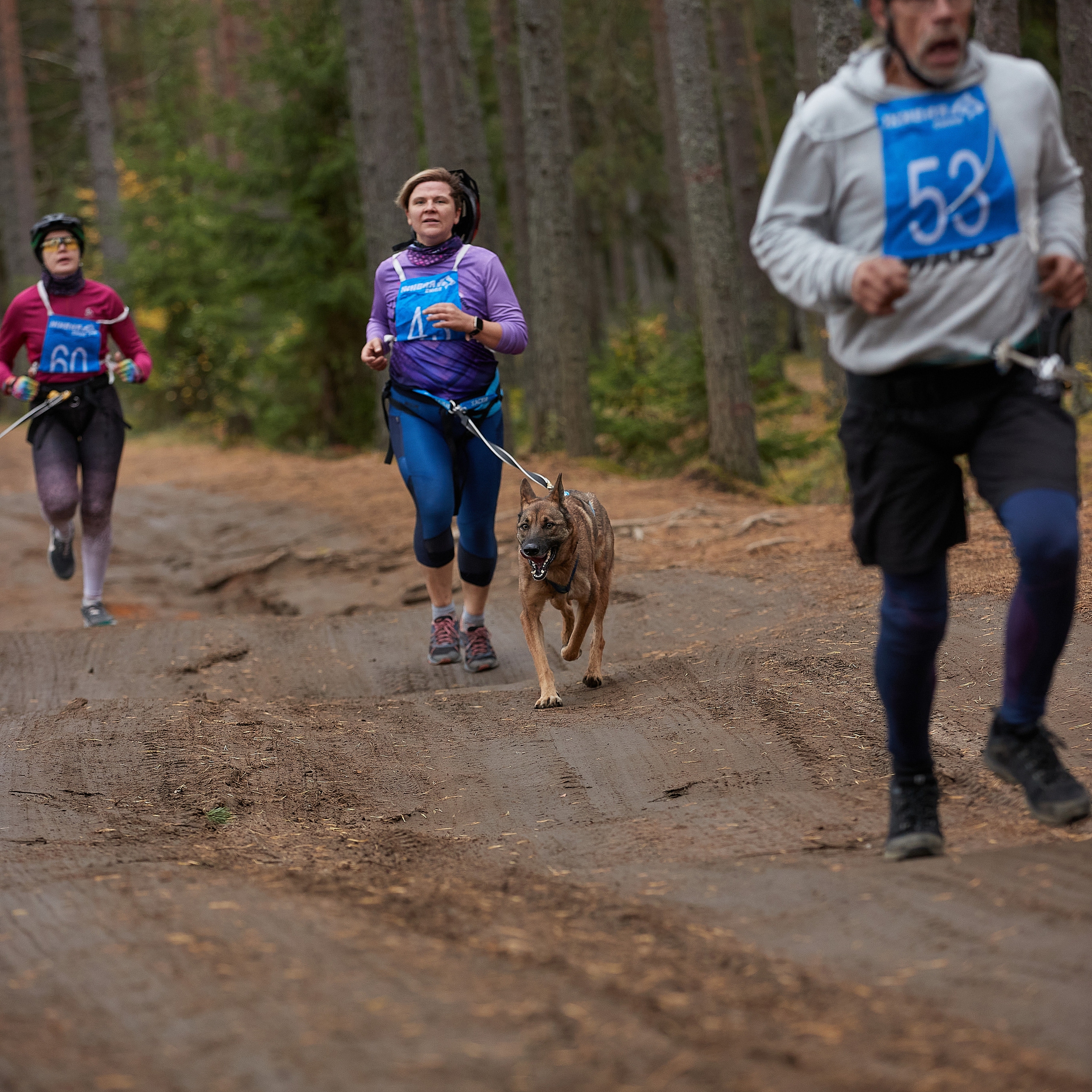 ЧЕМПИОНАТ РОССИИ РКФ 25–26 сентября 2021 г. ФОТОГРАФ-АНИМАЛИСТ l LANA POLYAKOVA
