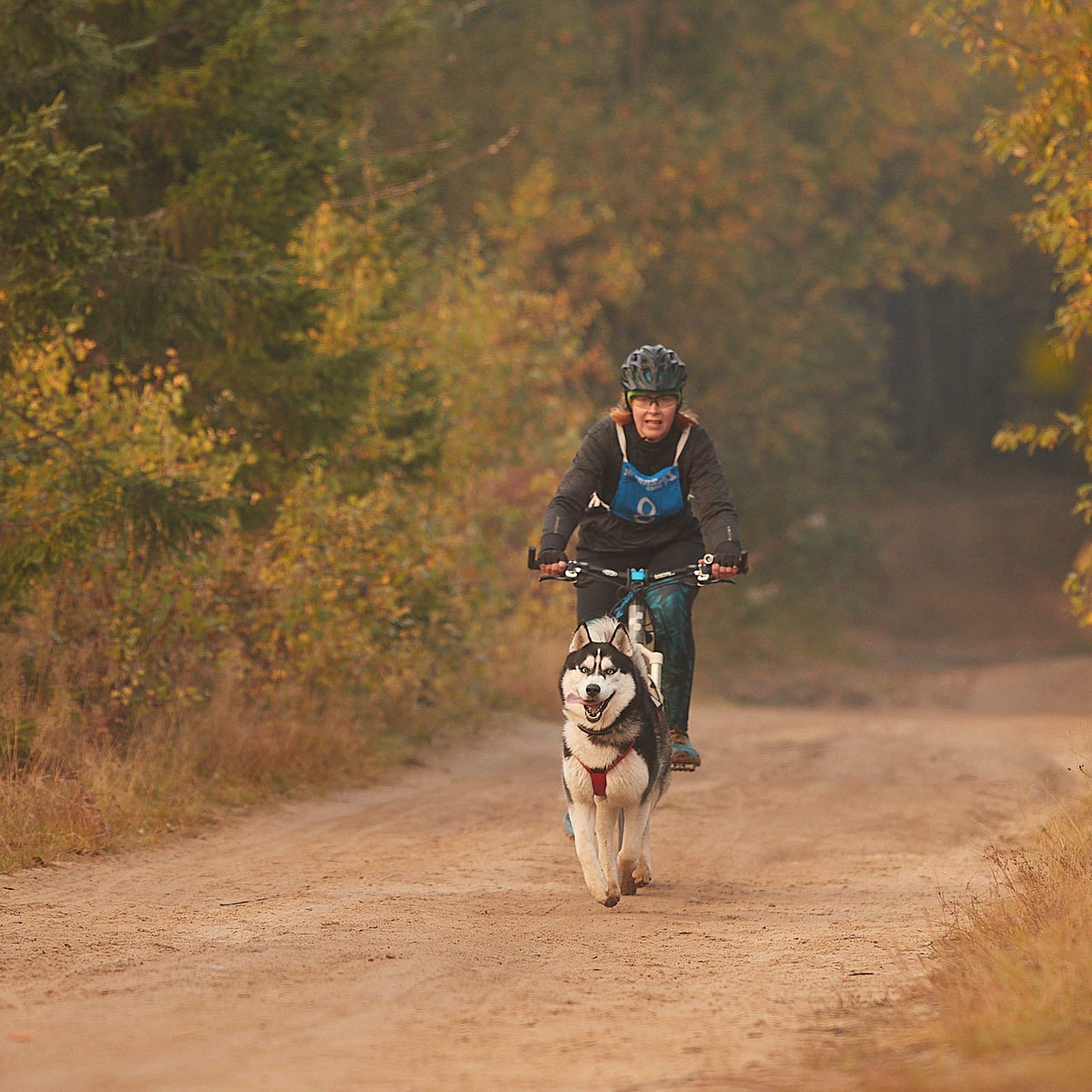 ЧЕМПИОНАТ РОССИИ РКФ 27 сентября 2020 г., 2й день. ФОТОГРАФ-АНИМАЛИСТ l LANA POLYAKOVA