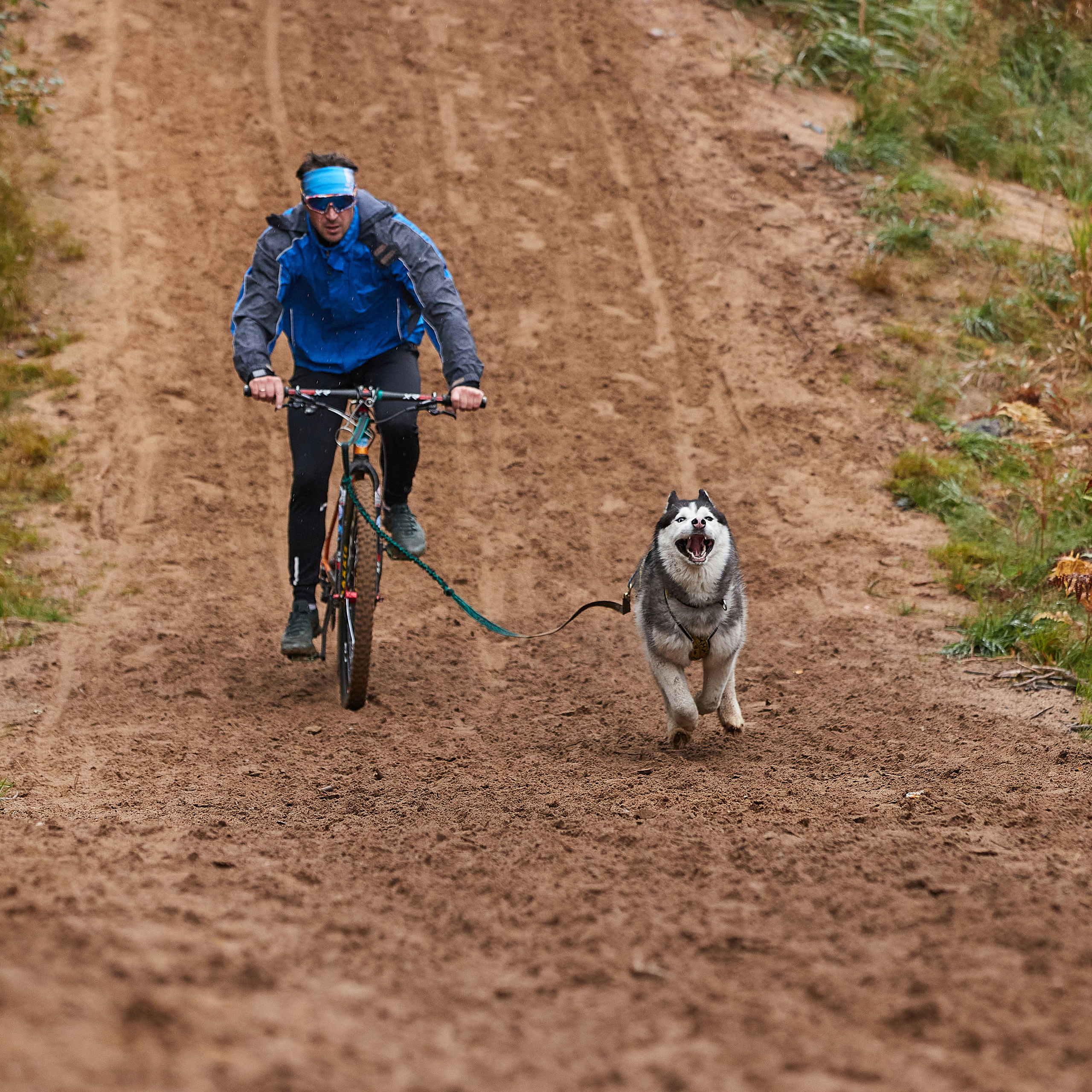 ЧЕМПИОНАТ РОССИИ РКФ 25–26 сентября 2021 г. ФОТОГРАФ-АНИМАЛИСТ l LANA POLYAKOVA