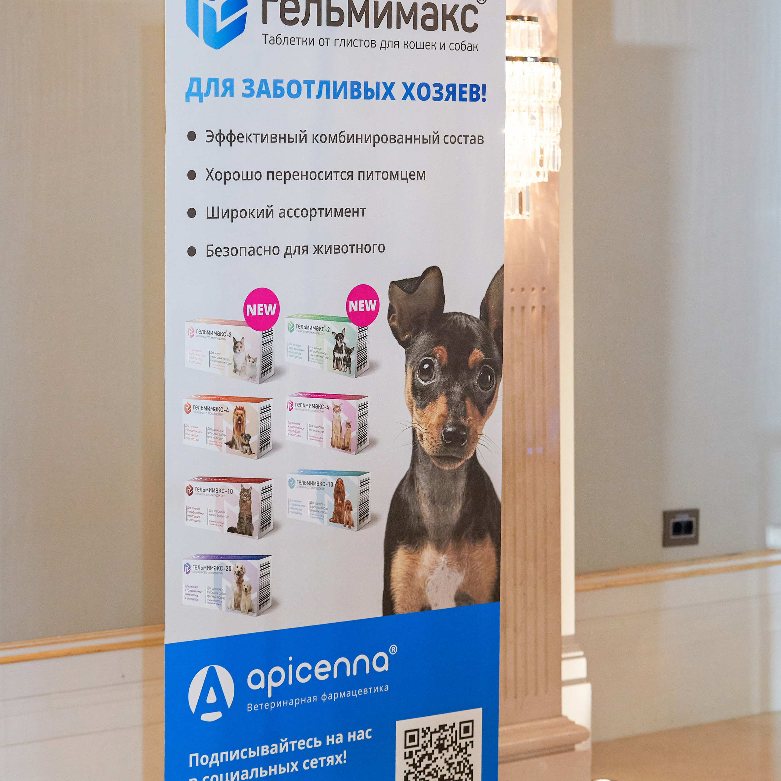 Репортаж с церемонии «BEST RUSSIAN DOG 2022». ФОТОГРАФ-АНИМАЛИСТ l LANA POLYAKOVA