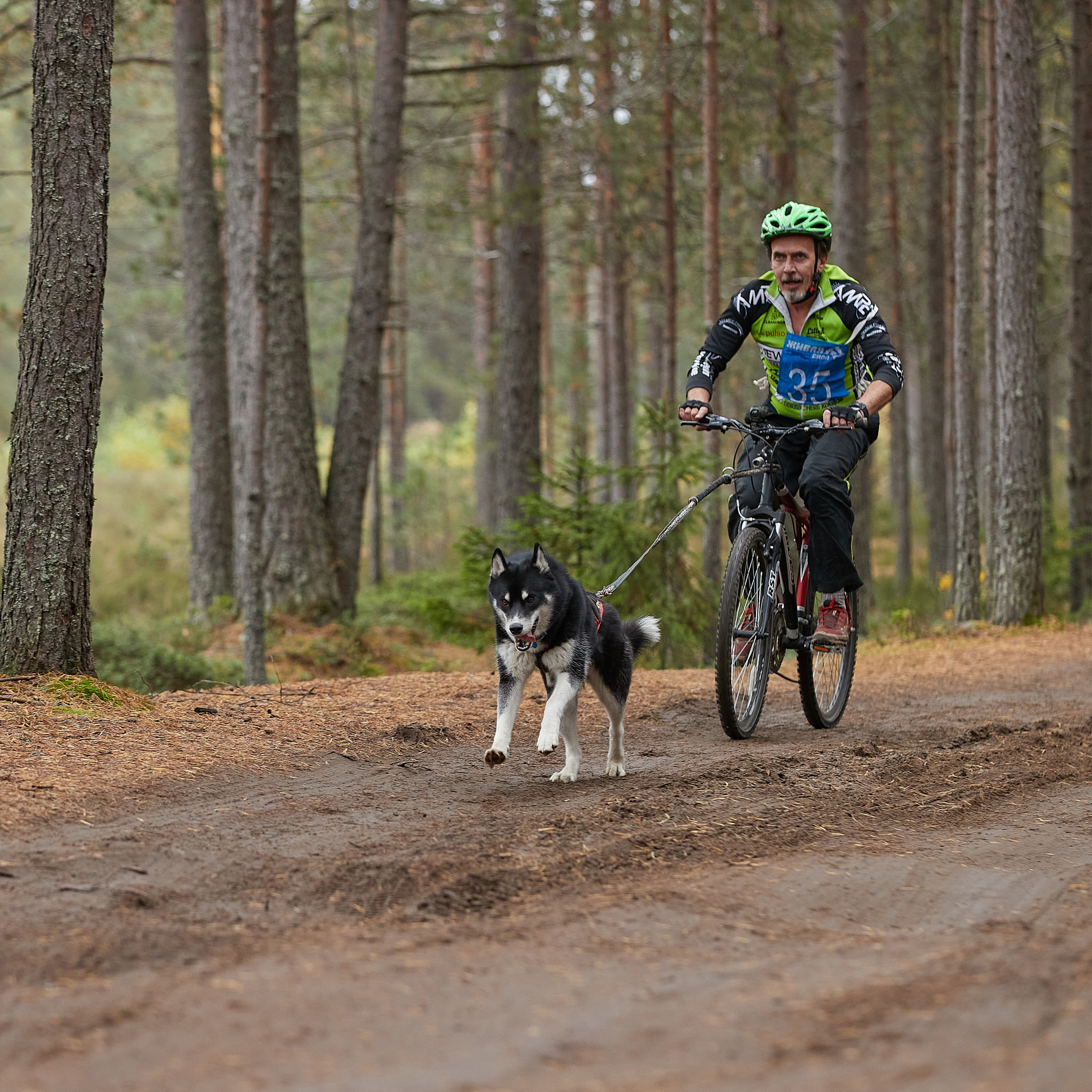 ЧЕМПИОНАТ РОССИИ РКФ 25–26 сентября 2021 г. ФОТОГРАФ-АНИМАЛИСТ l LANA POLYAKOVA
