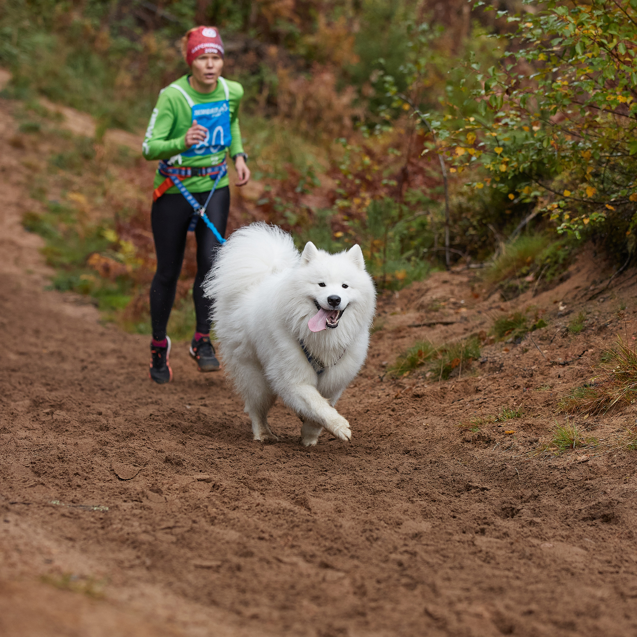 ЧЕМПИОНАТ РОССИИ РКФ 25–26 сентября 2021 г. ФОТОГРАФ-АНИМАЛИСТ l LANA POLYAKOVA